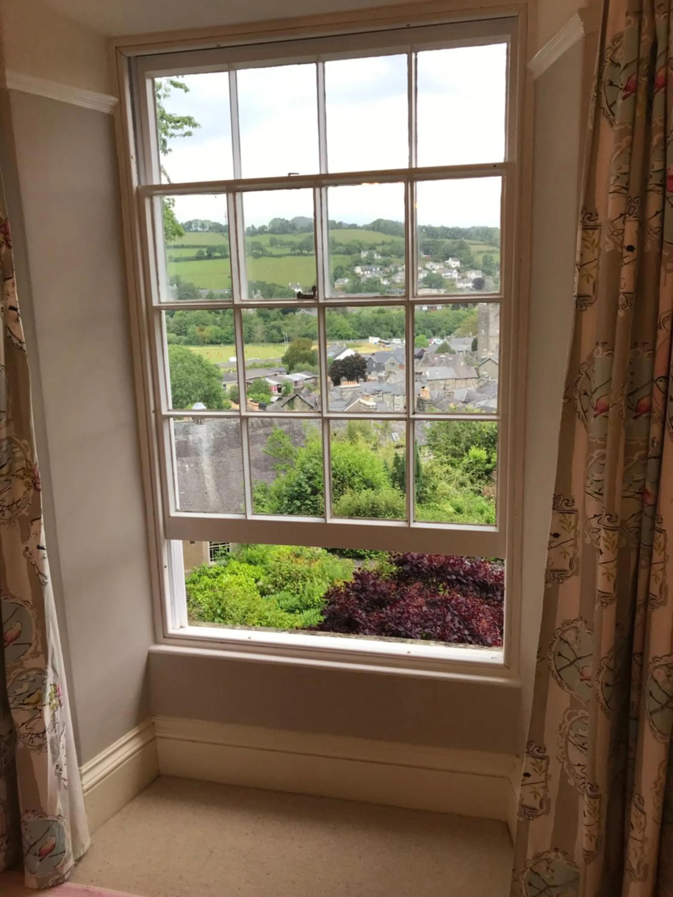 Garden view in Bryn Mair