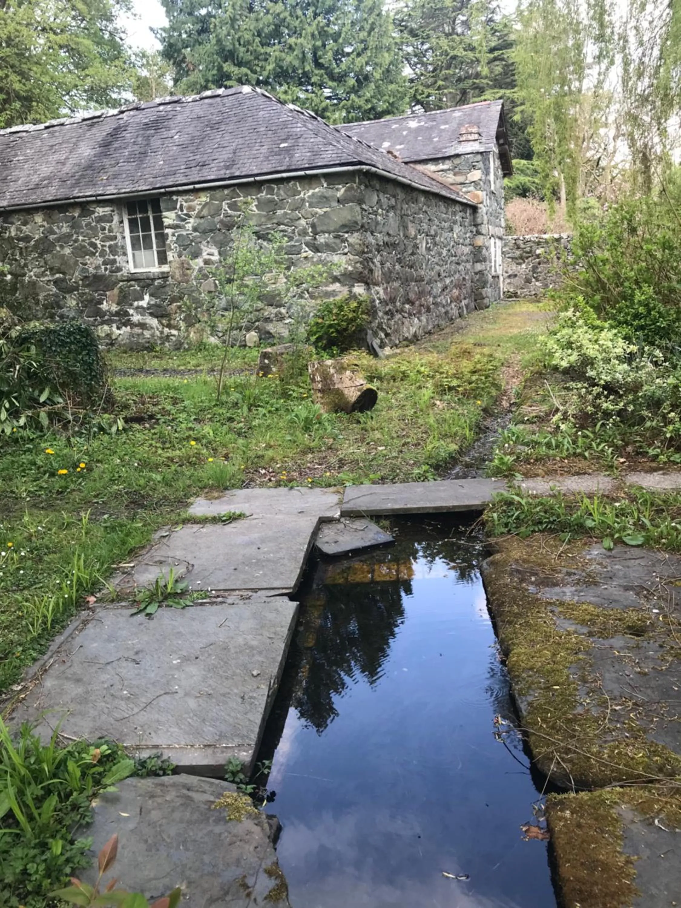 Garden view in Bryn Mair