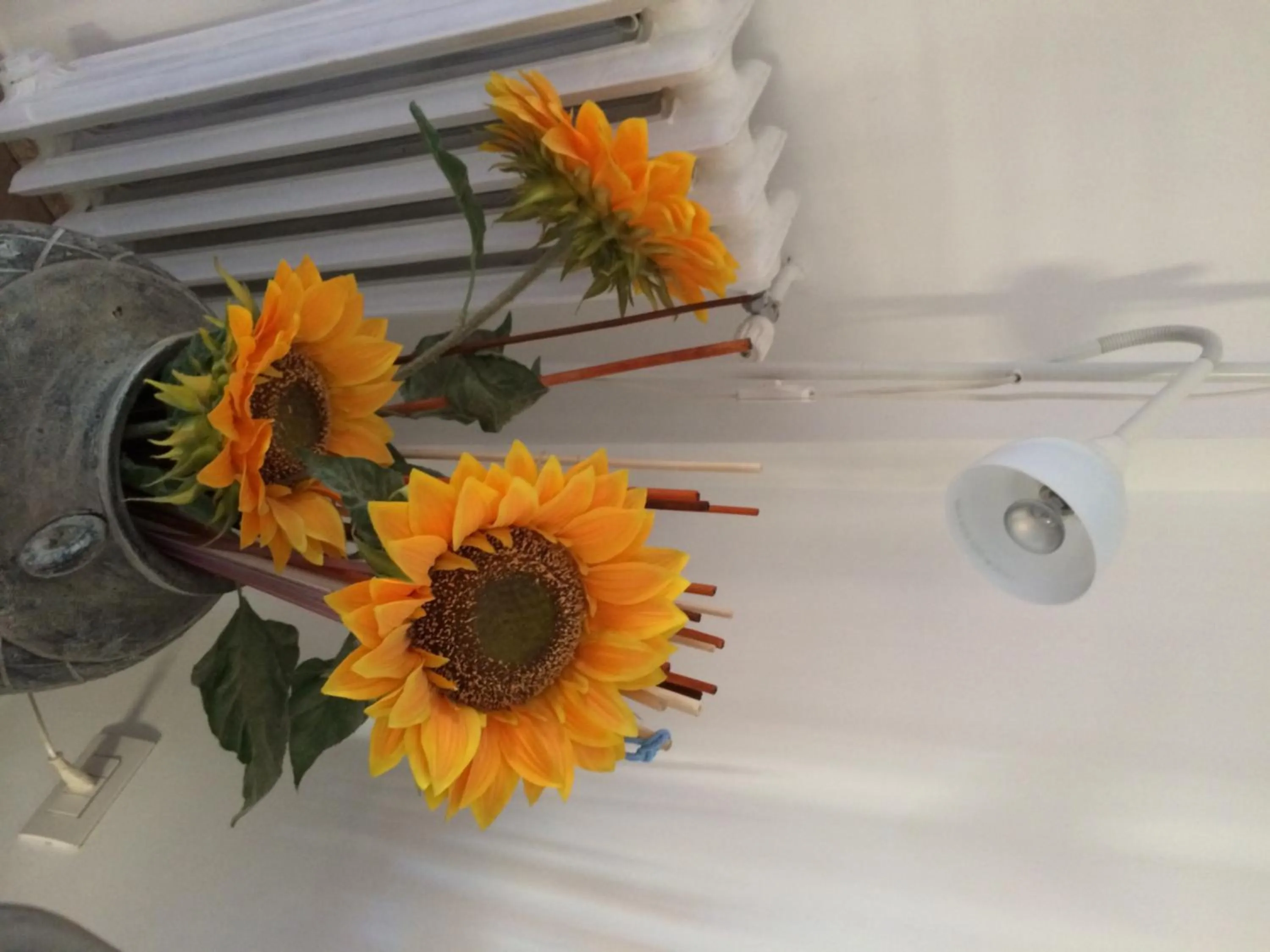 Decorative detail in Shelisa B&B