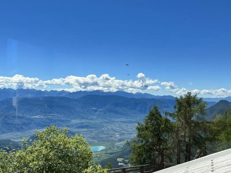 Natural landscape in PanoramaHotel Penegal