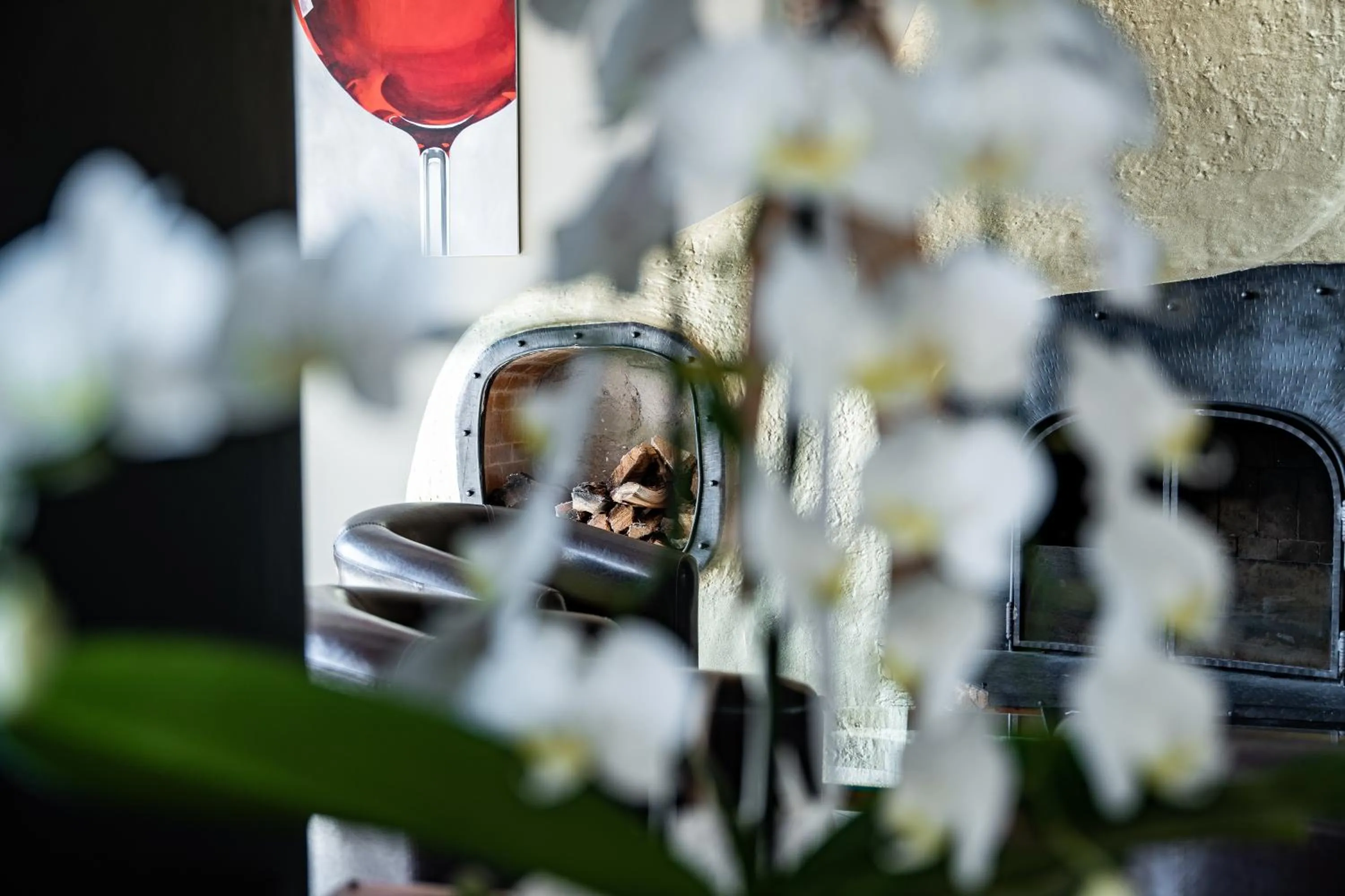 pet friendly in PanoramaHotel Penegal