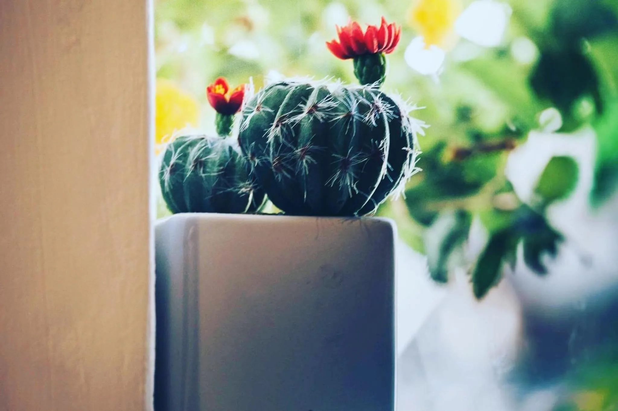 Boutique Hotel Sant'Andrea & Relais