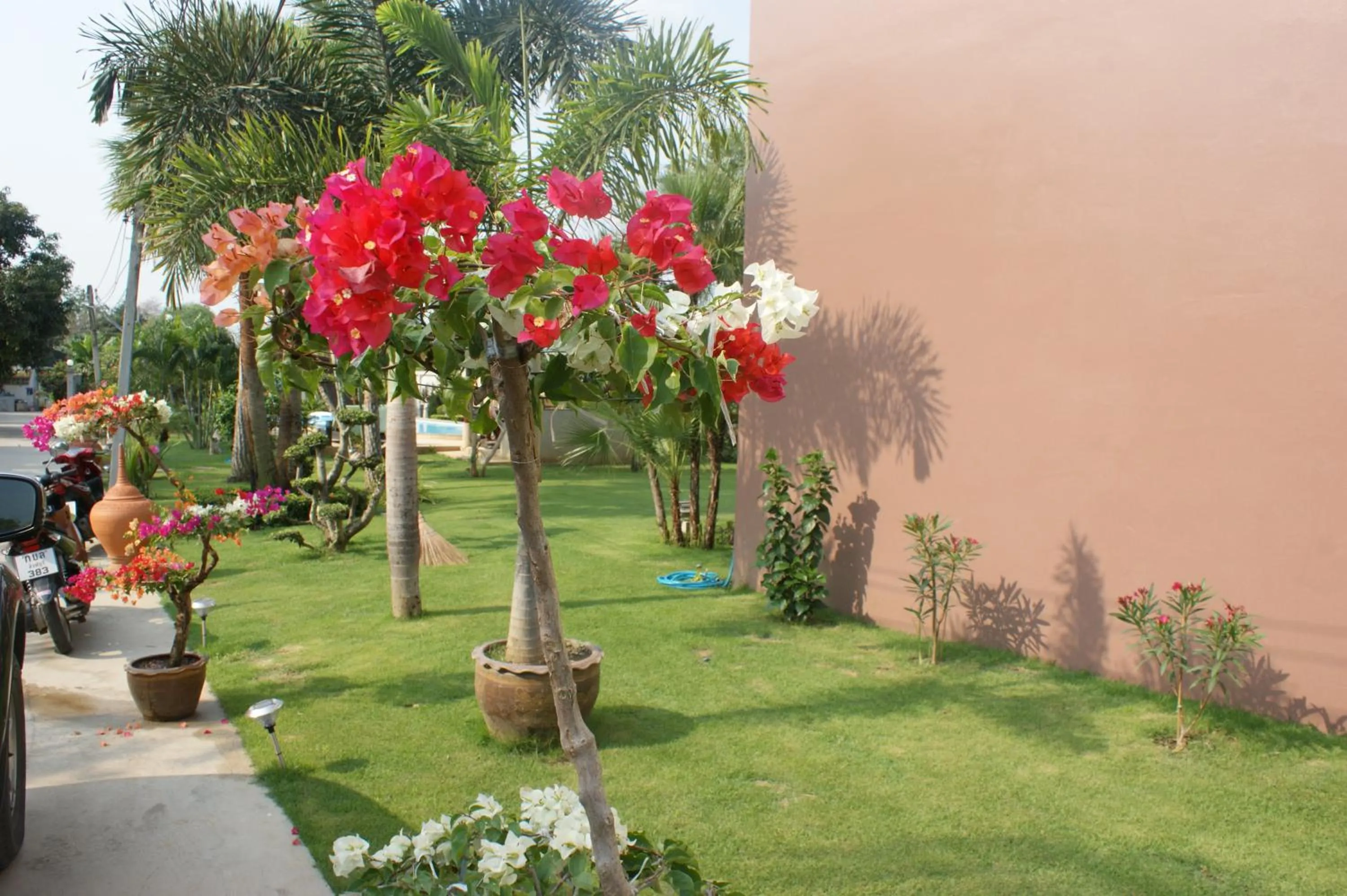 Garden in Sumali Villa