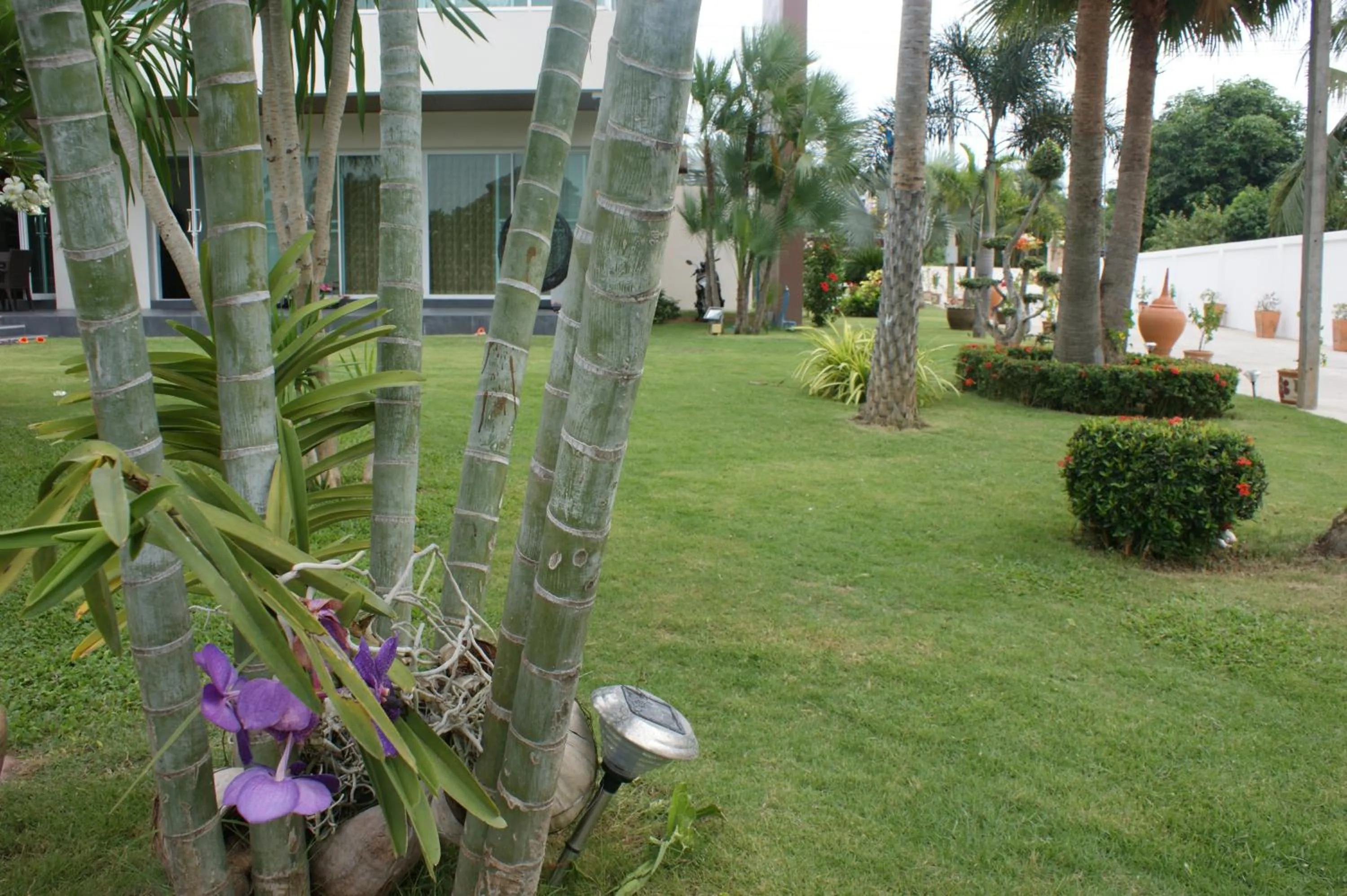 Garden view in Sumali Villa