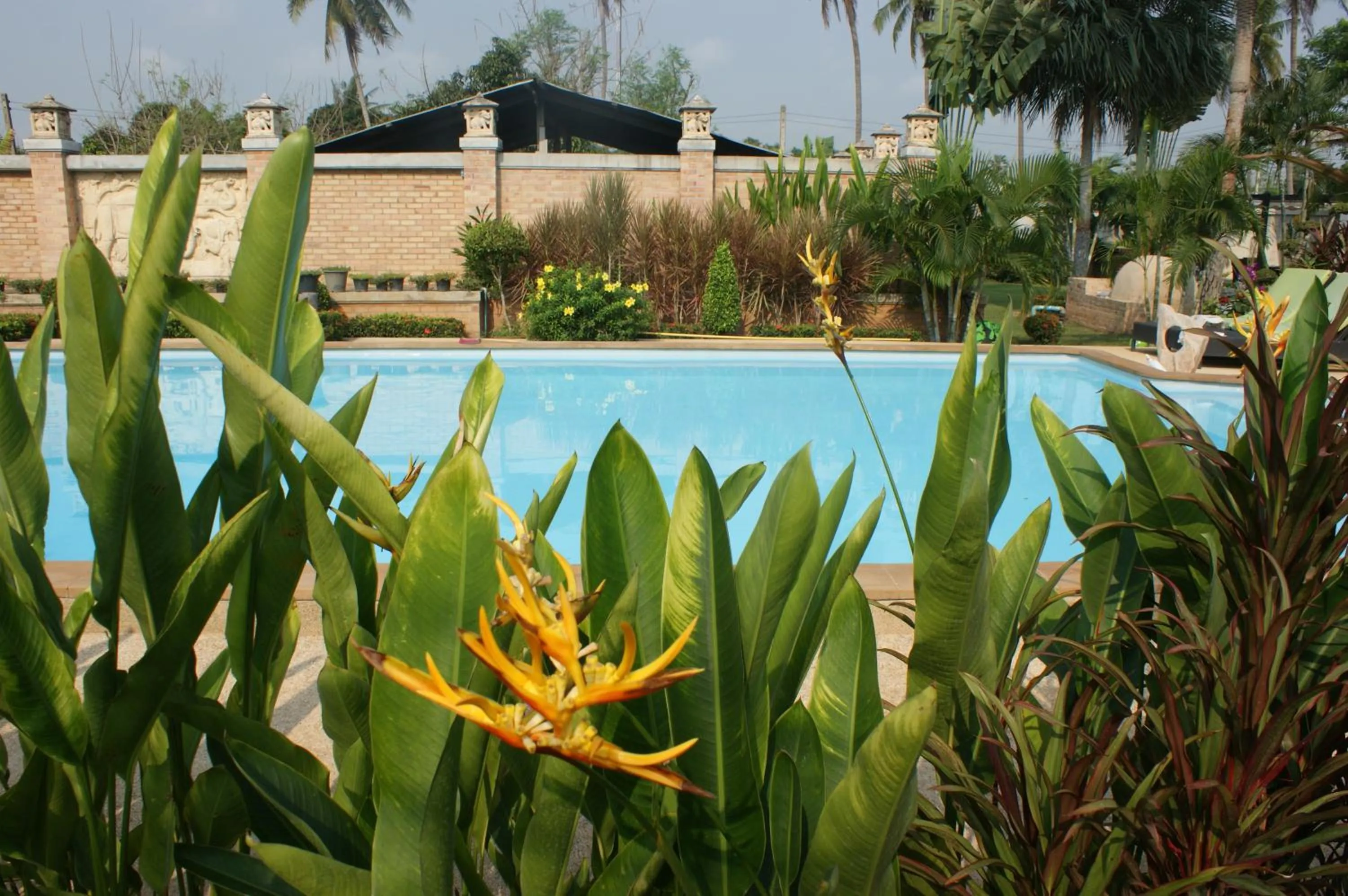 Swimming pool in Sumali Villa