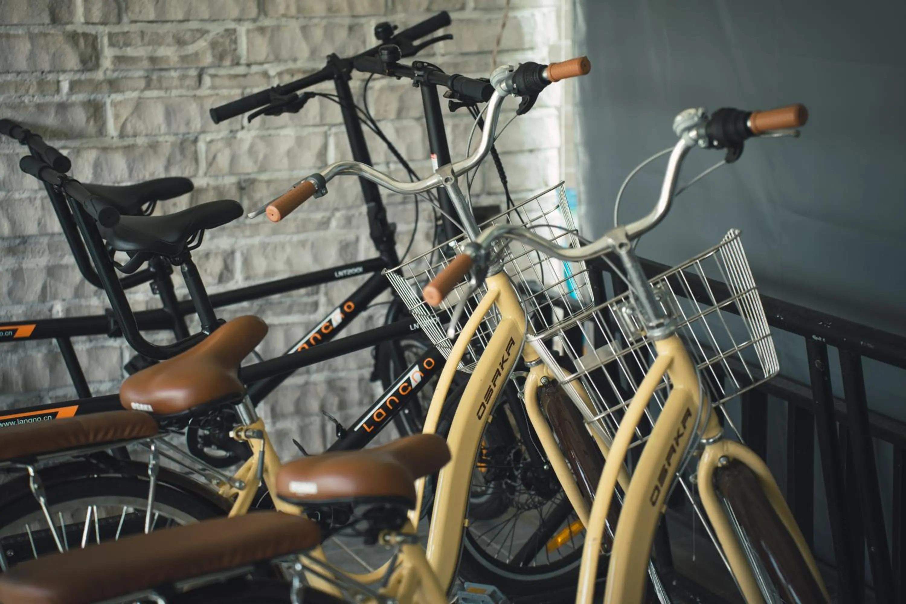 Area and facilities in Thames Valley Khao Yai - SHA Plus