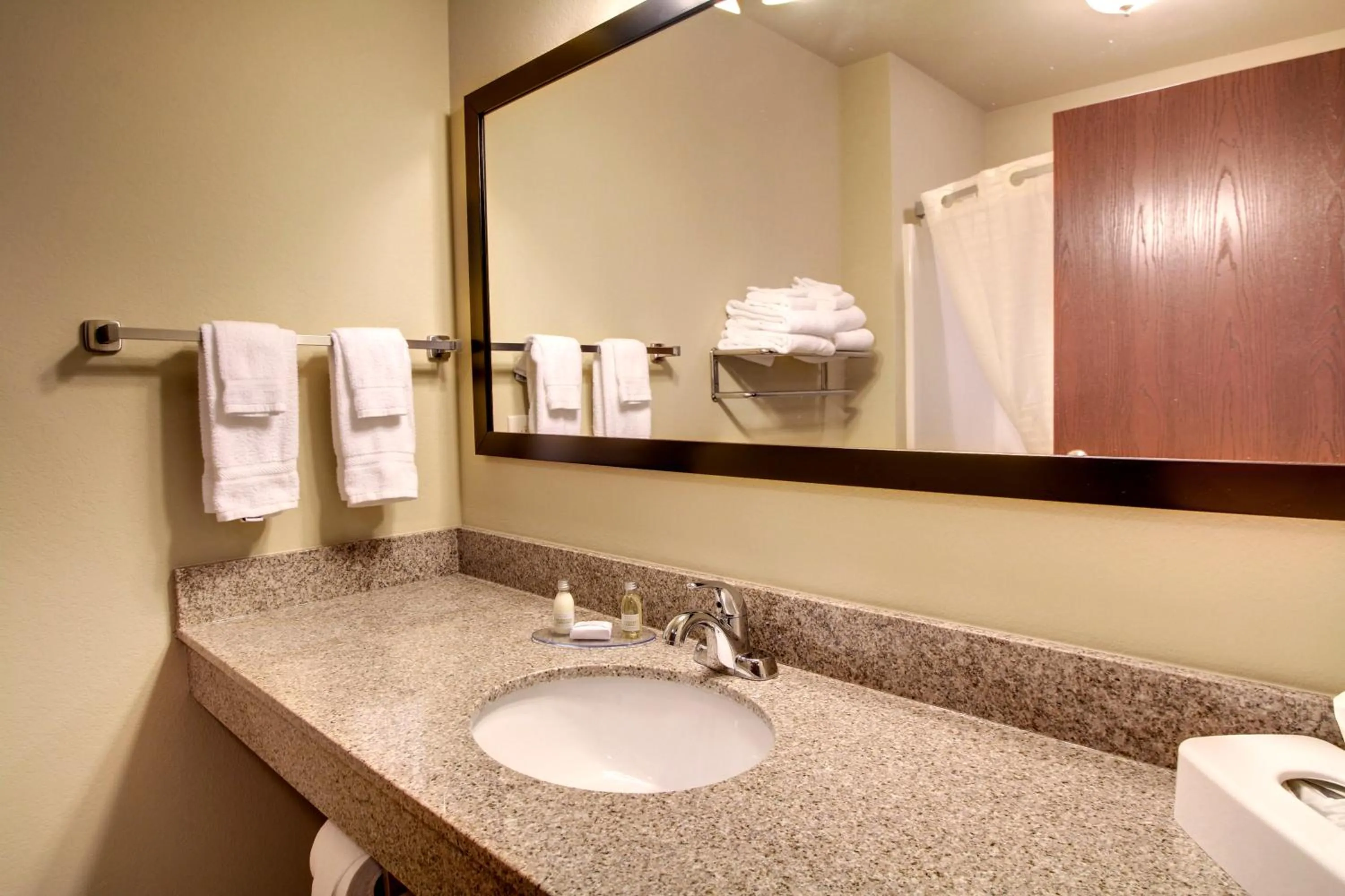 Bathroom in Cobblestone Inn & Suites - Eads