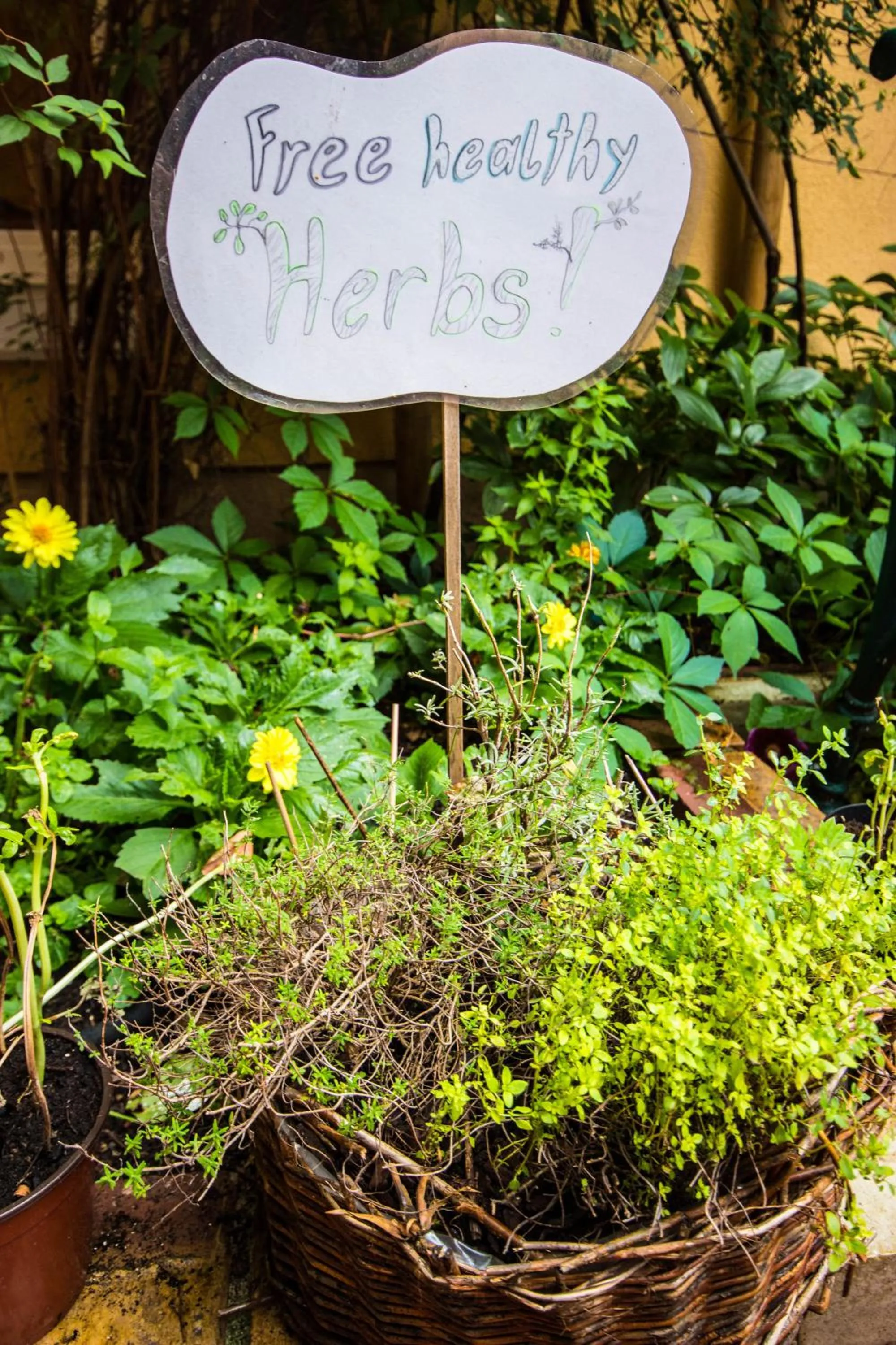 Garden in Vienna Hostel Ruthensteiner