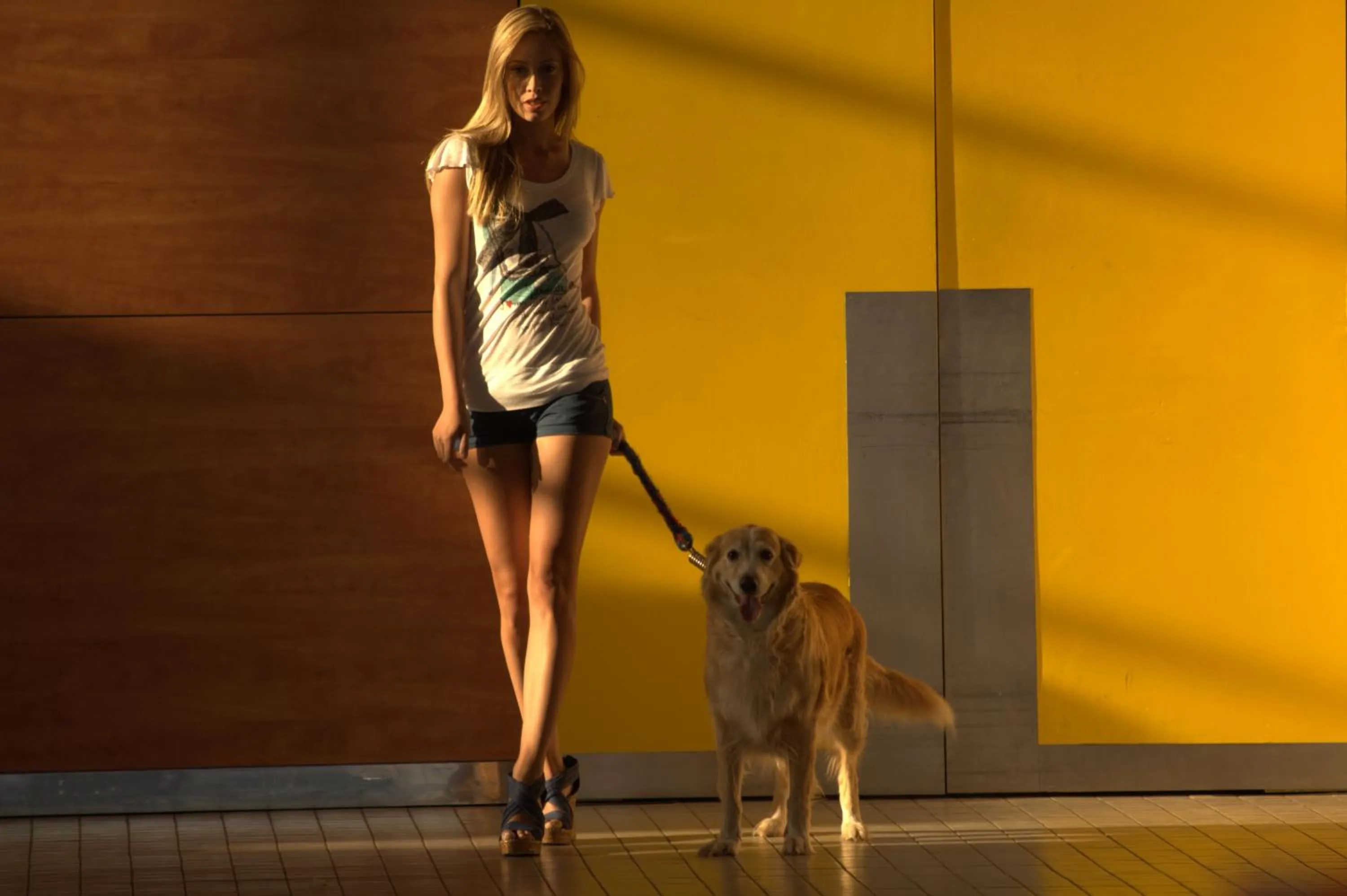 Pets in The Marmara Antalya