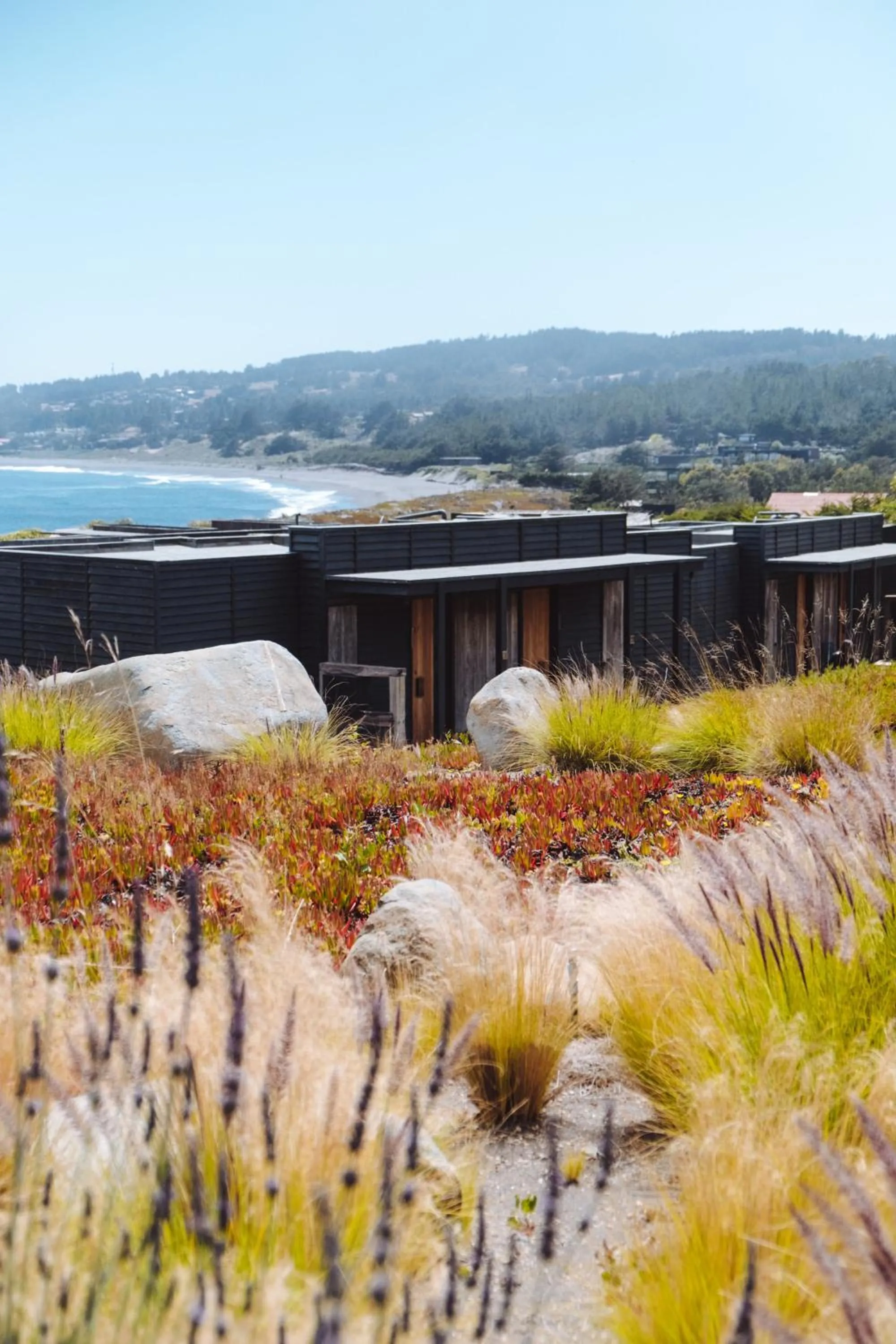 Garden in Hotel Alaia