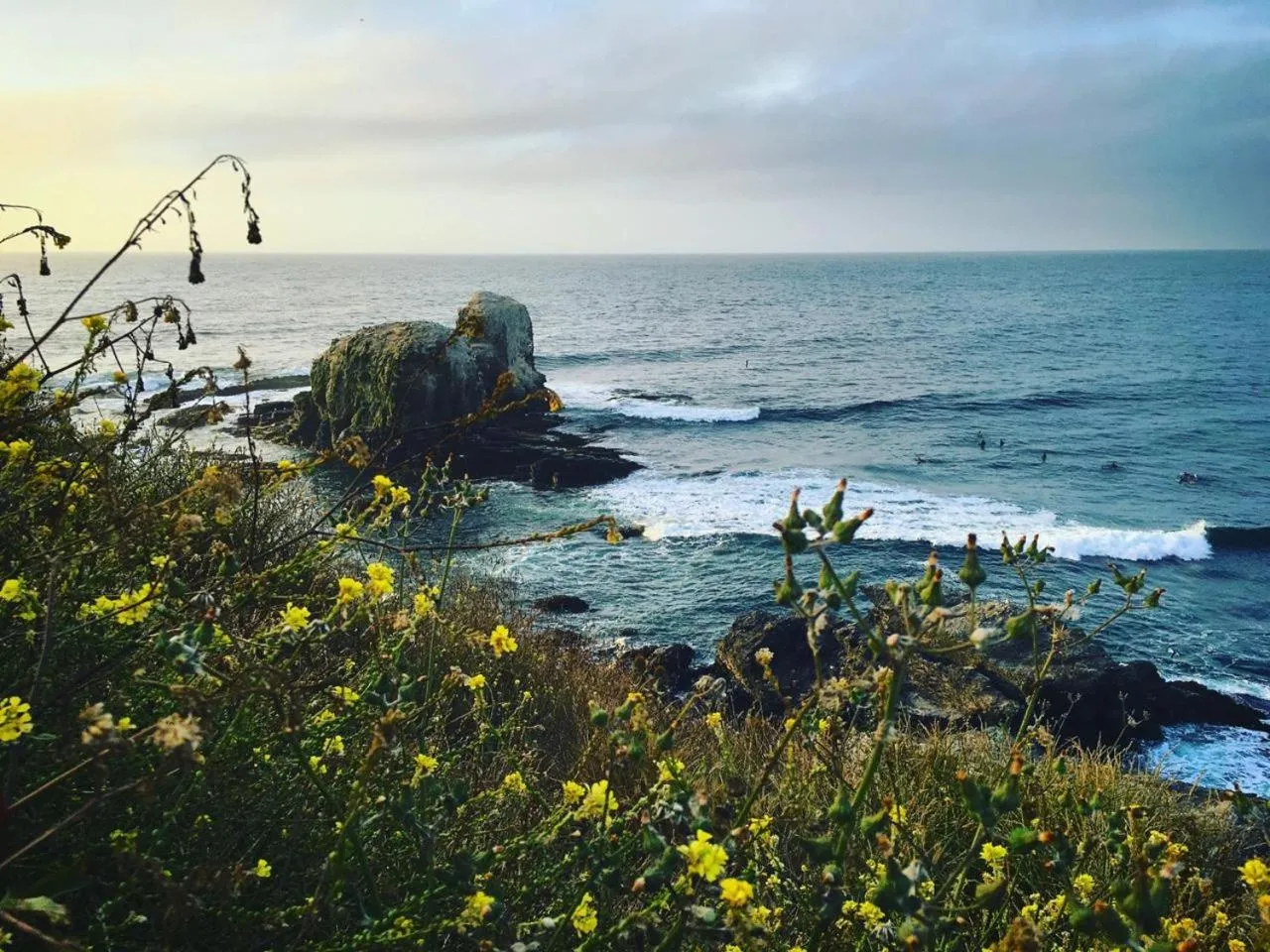 Beach in Hotel Alaia