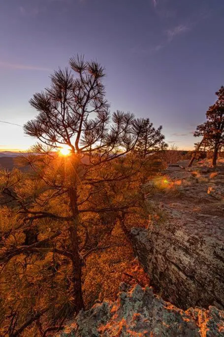 Forest Cabin 1 Hunters Blind