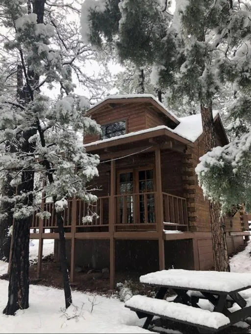 Forest Cabin 2 Birds Nest