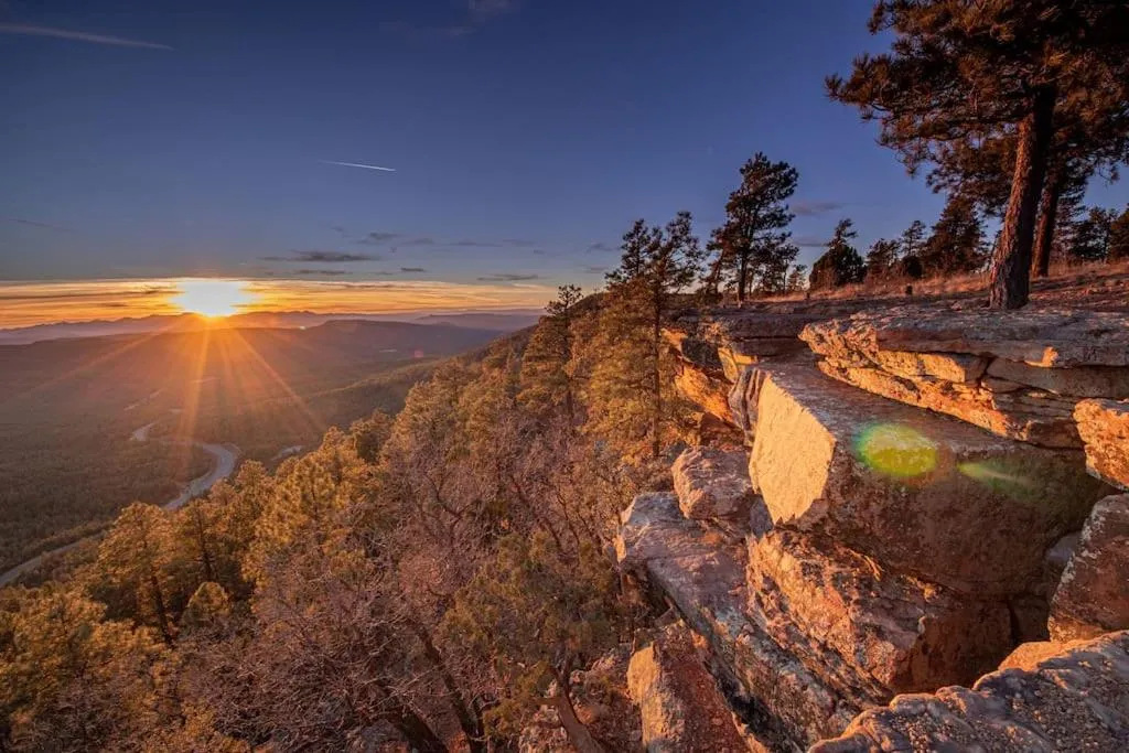 Forest Cabin 3 Bear's Den