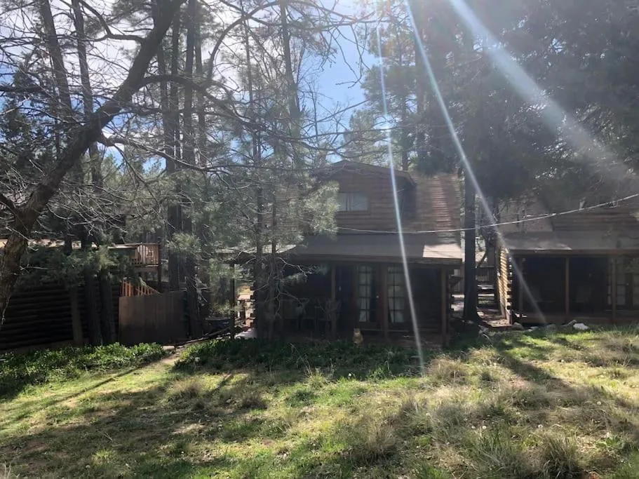 Forest Cabin 3 Bear's Den