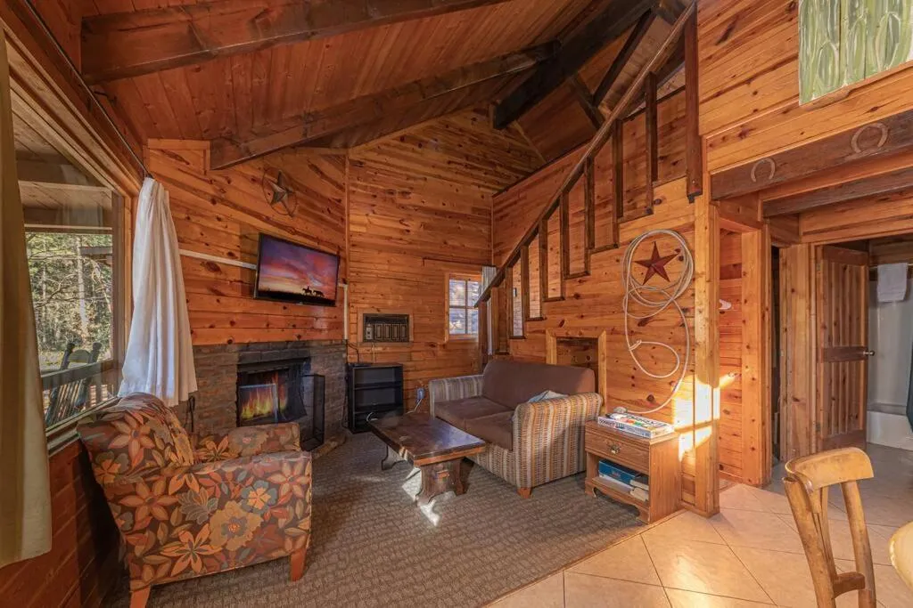 Forest Cabin 4 Cowboys Dream