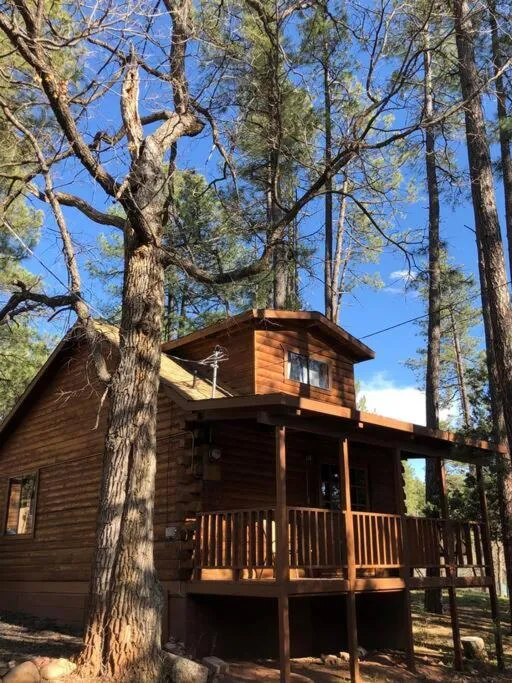 Forest Cabin 4 Cowboys Dream