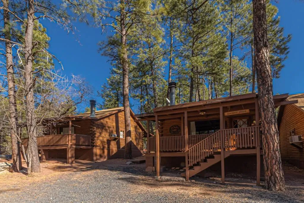 Forest Cabin 4 Cowboys Dream