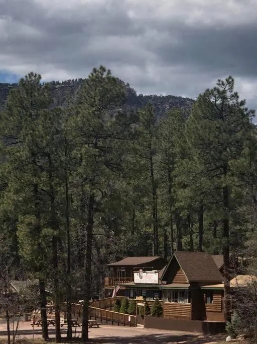 Forest Cabin 7 Seventh Heaven