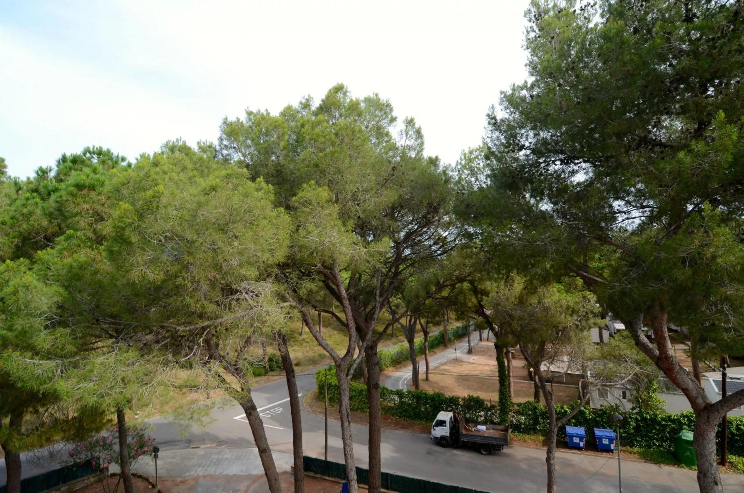 View (from property/room) in Bosmar 3G