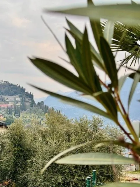 Day in Hotel Il Perlo