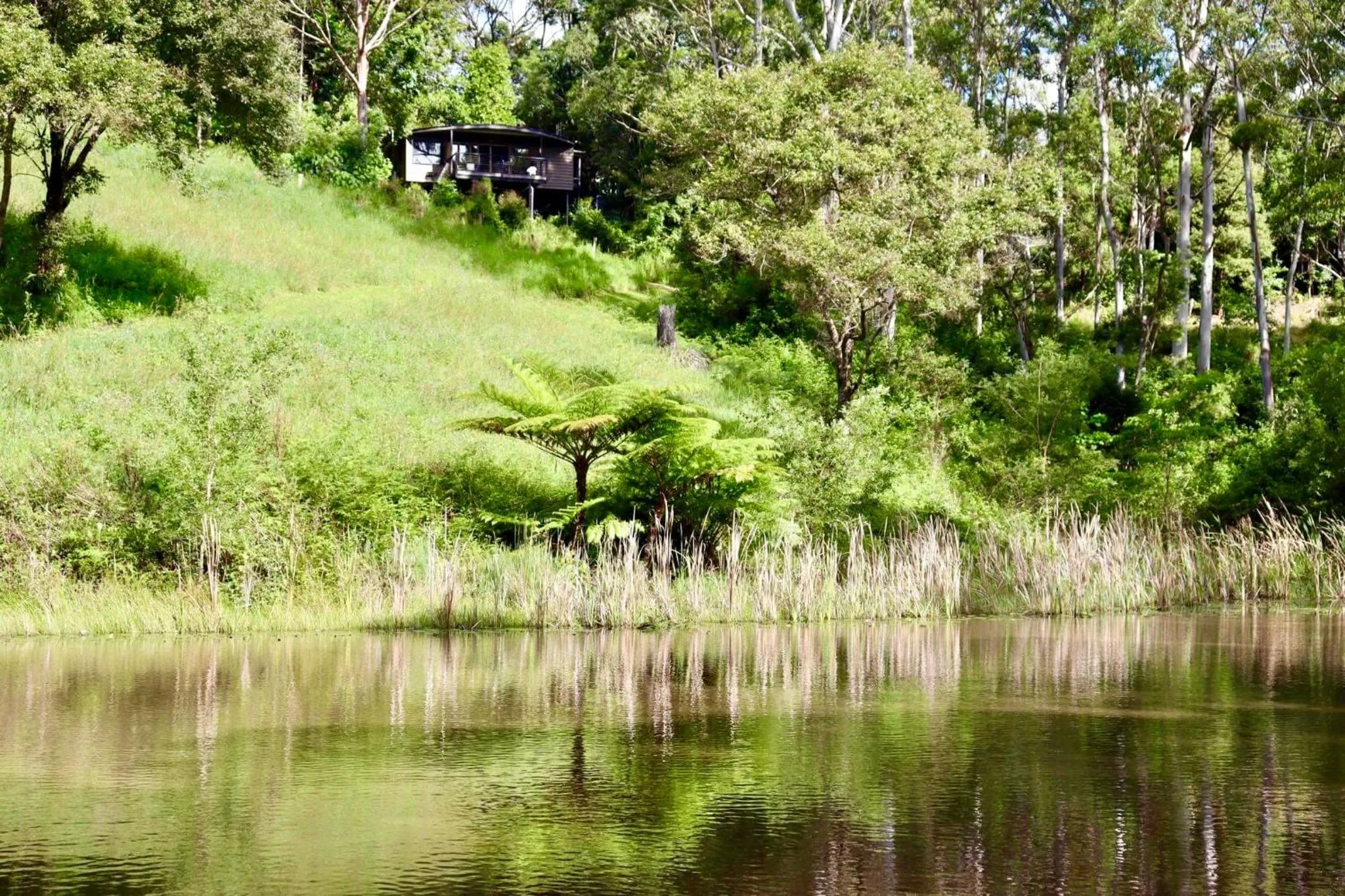 View (from property/room) in Whispering Valley Cottage Retreat