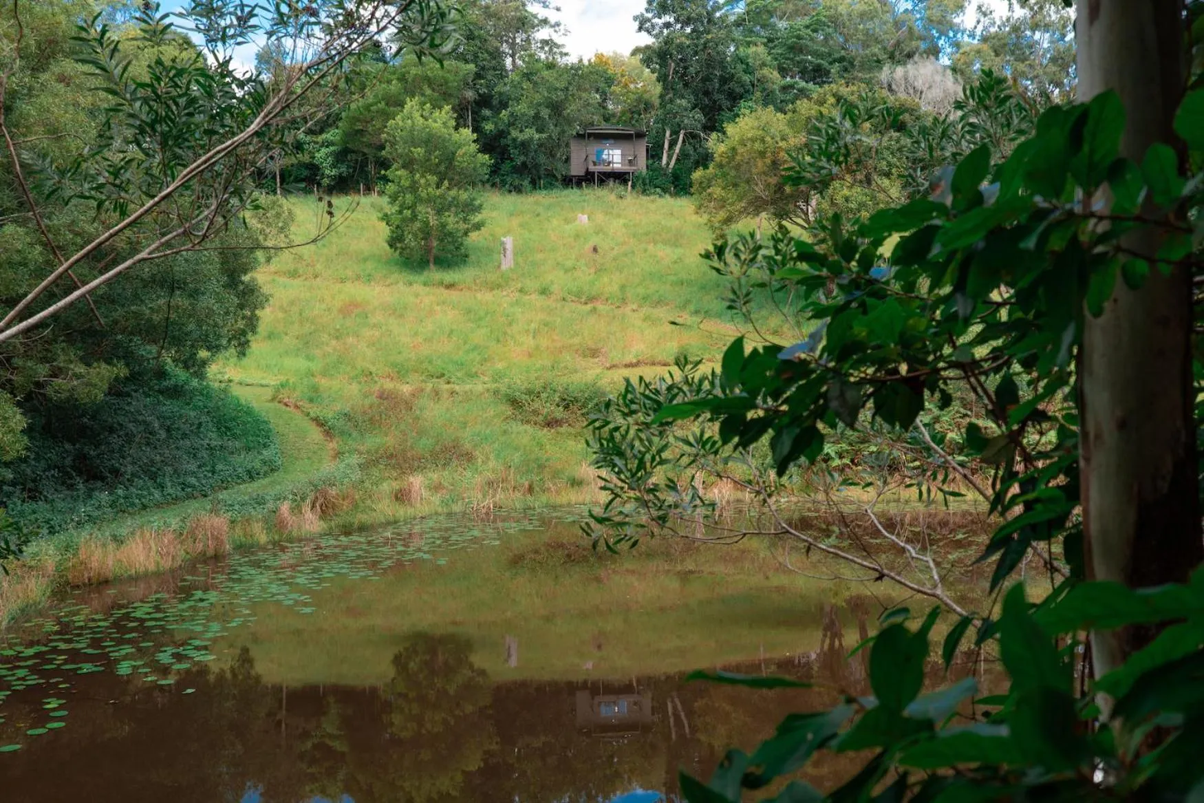 Property building in Whispering Valley Cottage Retreat