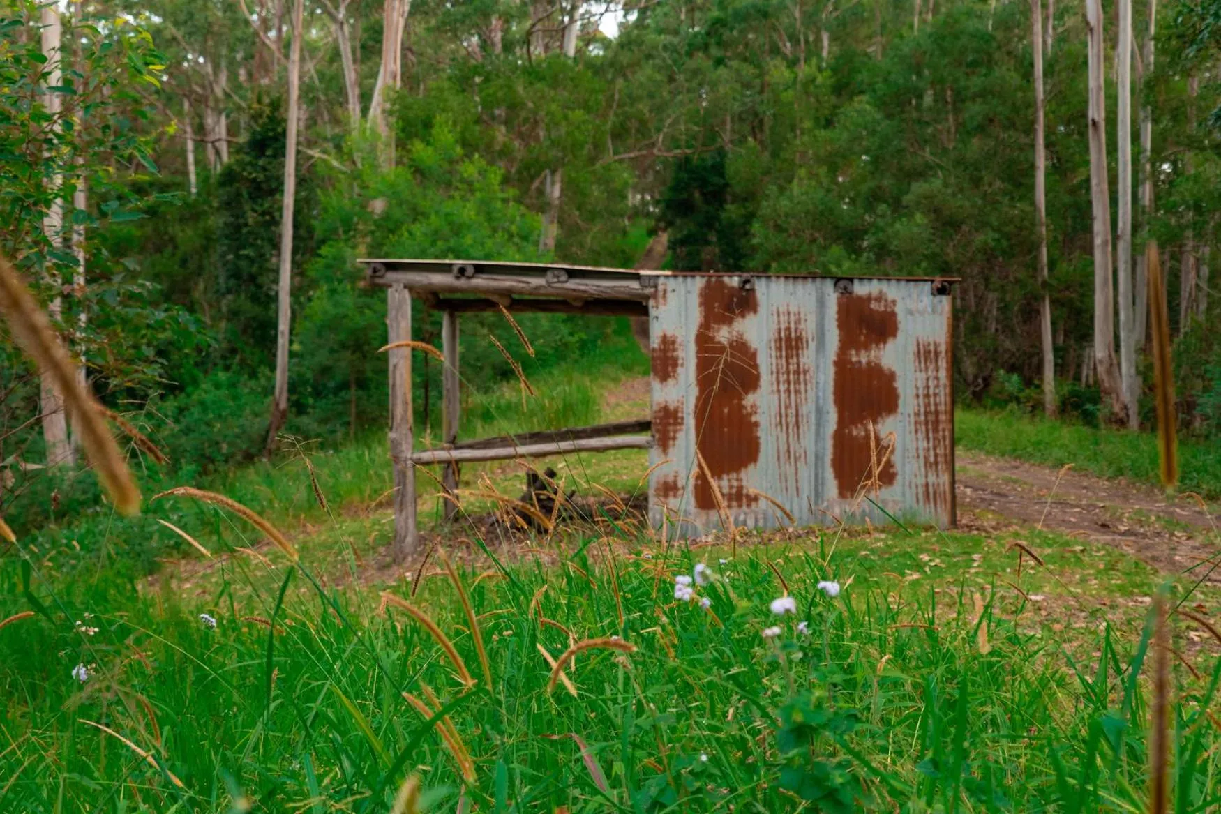 Natural landscape in Whispering Valley Cottage Retreat