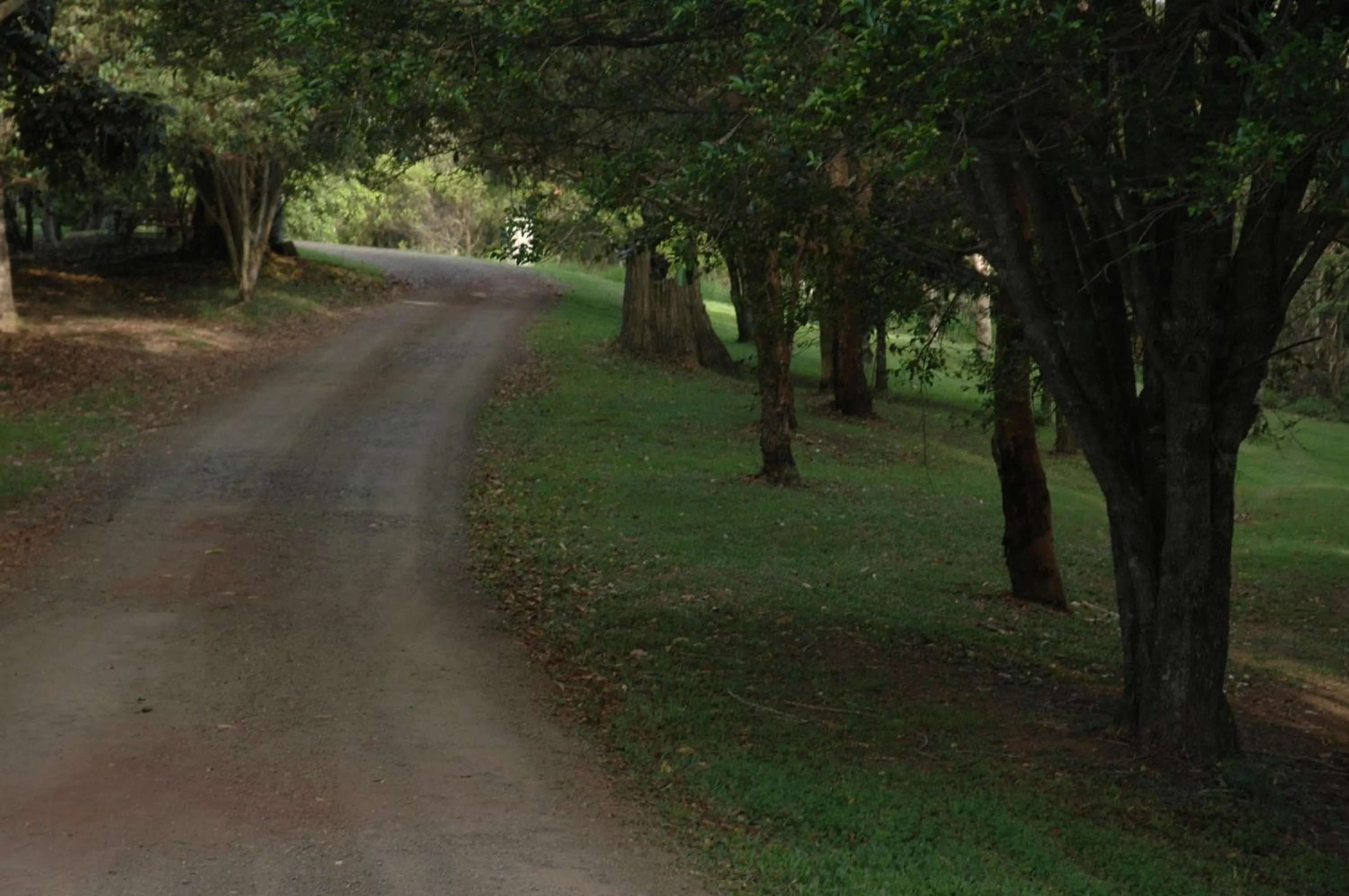 Other in Whispering Valley Cottage Retreat