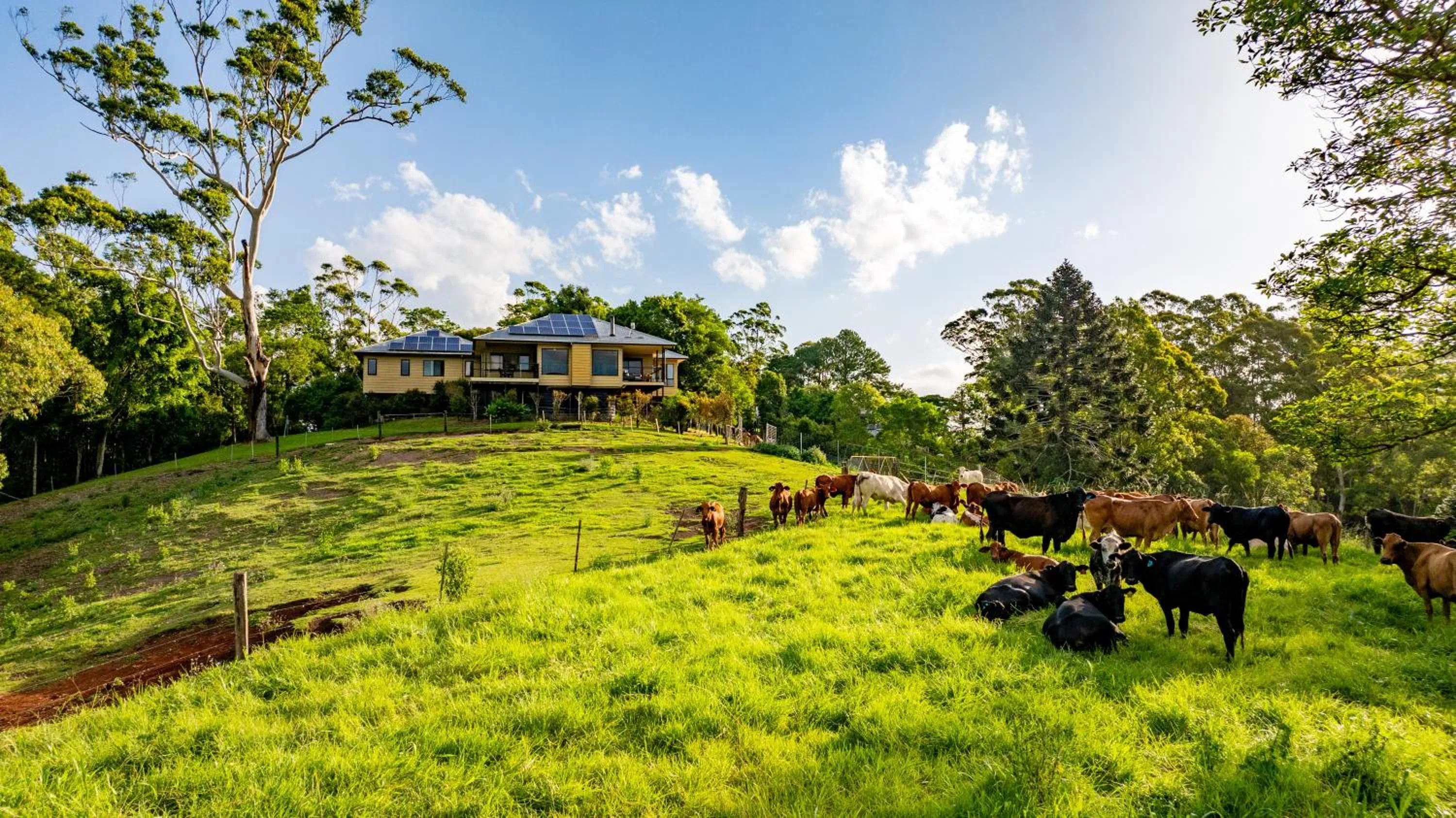 Natural landscape in Whispering Valley Cottage Retreat