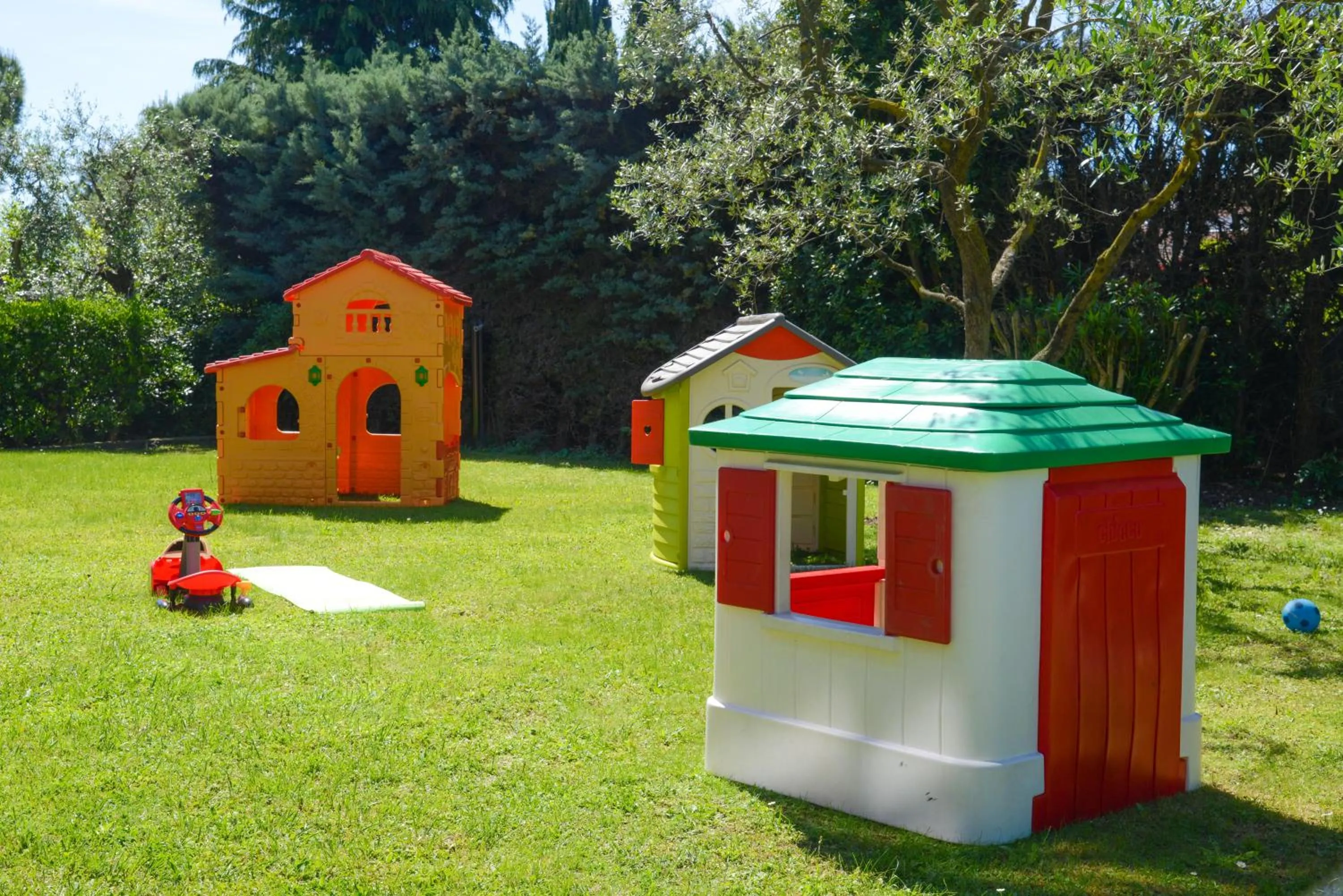 Garden in Hotel Oliveto