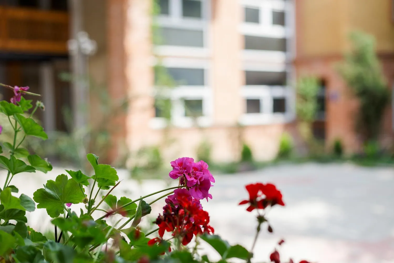 Spring in Hotel Aira Plaza