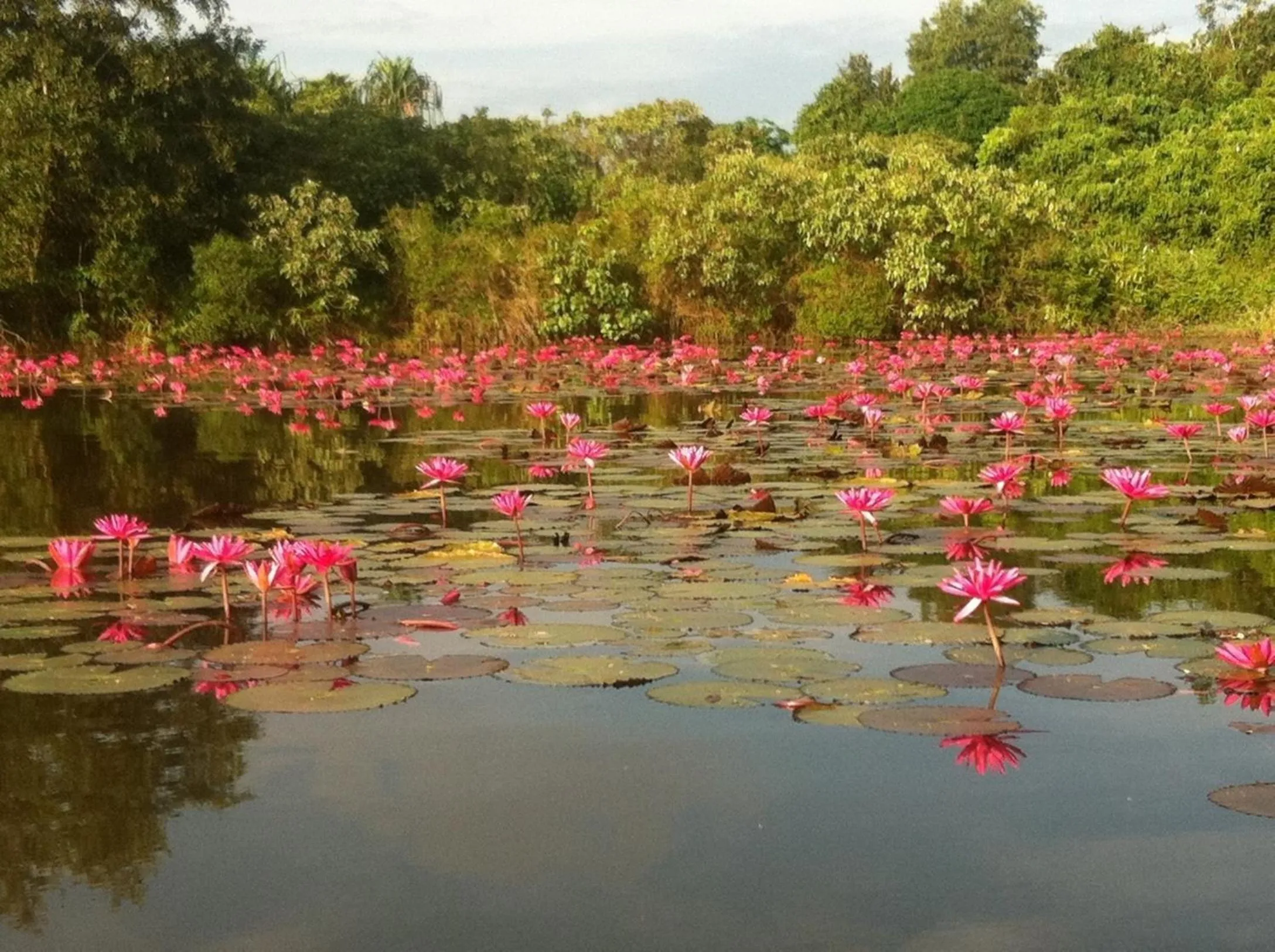 Area and facilities in Rabbit Bungalow