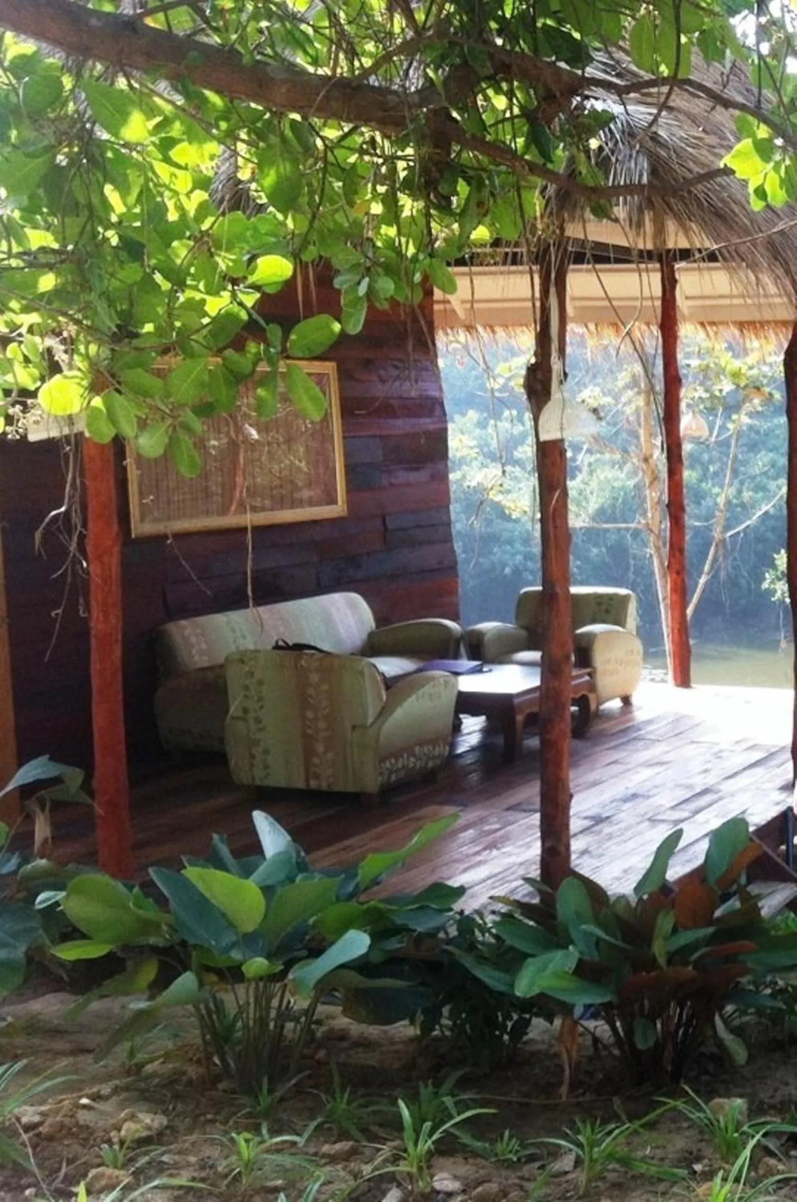 Photo of the whole room in Rabbit Bungalow