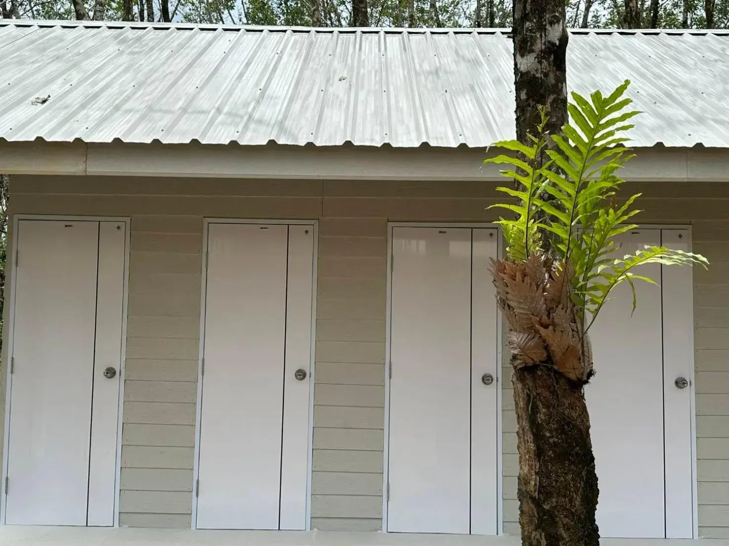 Bunk Bed in Female Dormitory Room   in Rabbit Bungalow Bunk Bed in Female Dormitory Room   in Rabbit Bungalow
