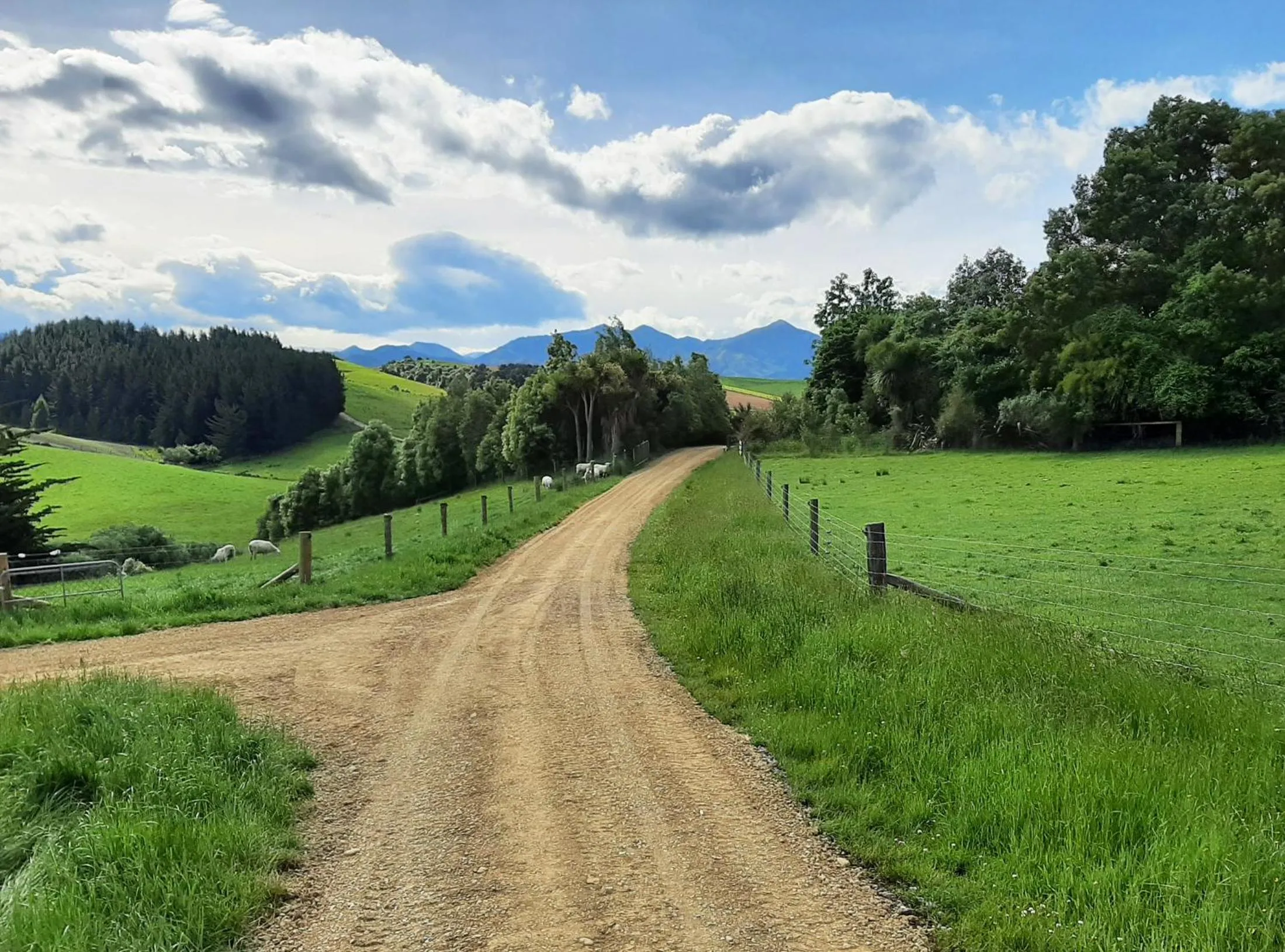 Facade/entrance in Kotare BandB