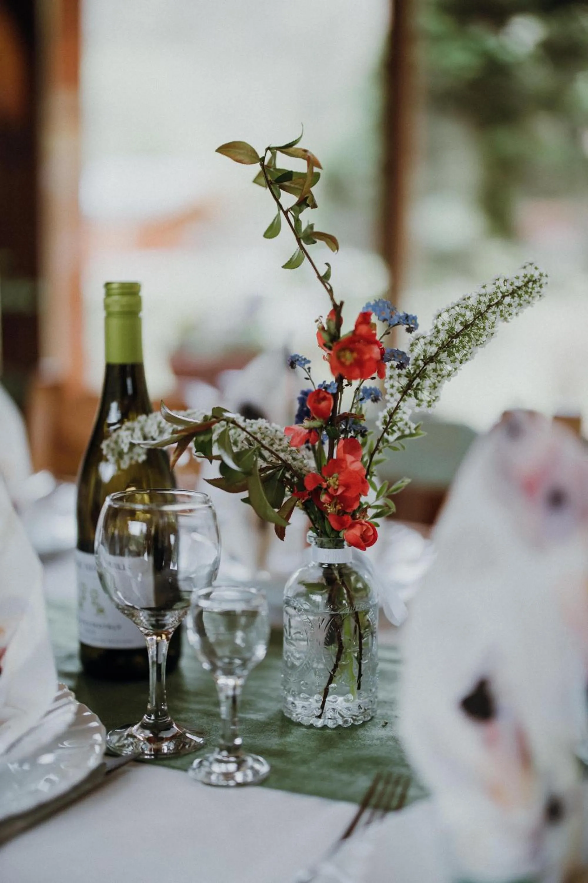 Restaurant/places to eat in Vidra Park