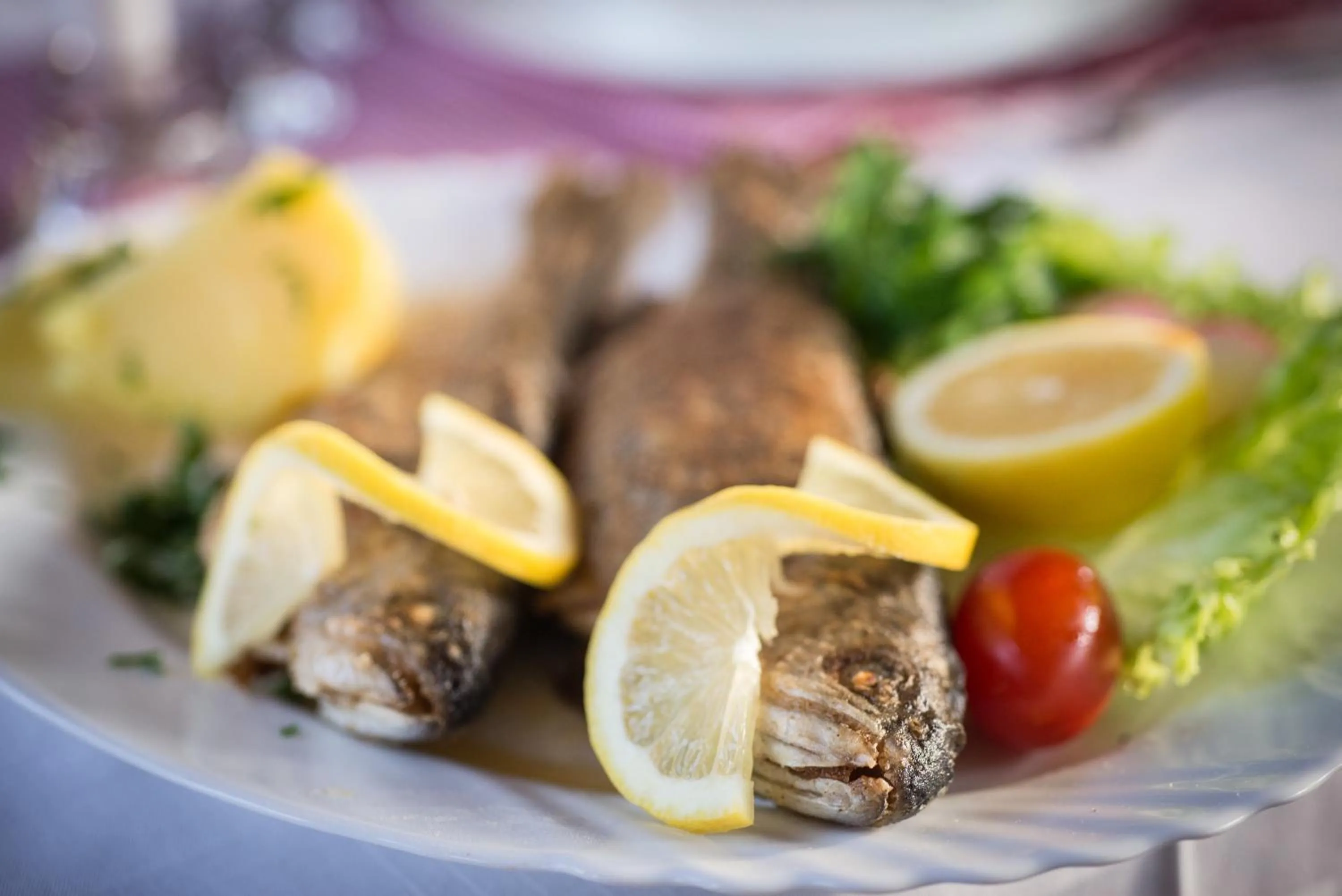 Food and drinks in Vidra Park