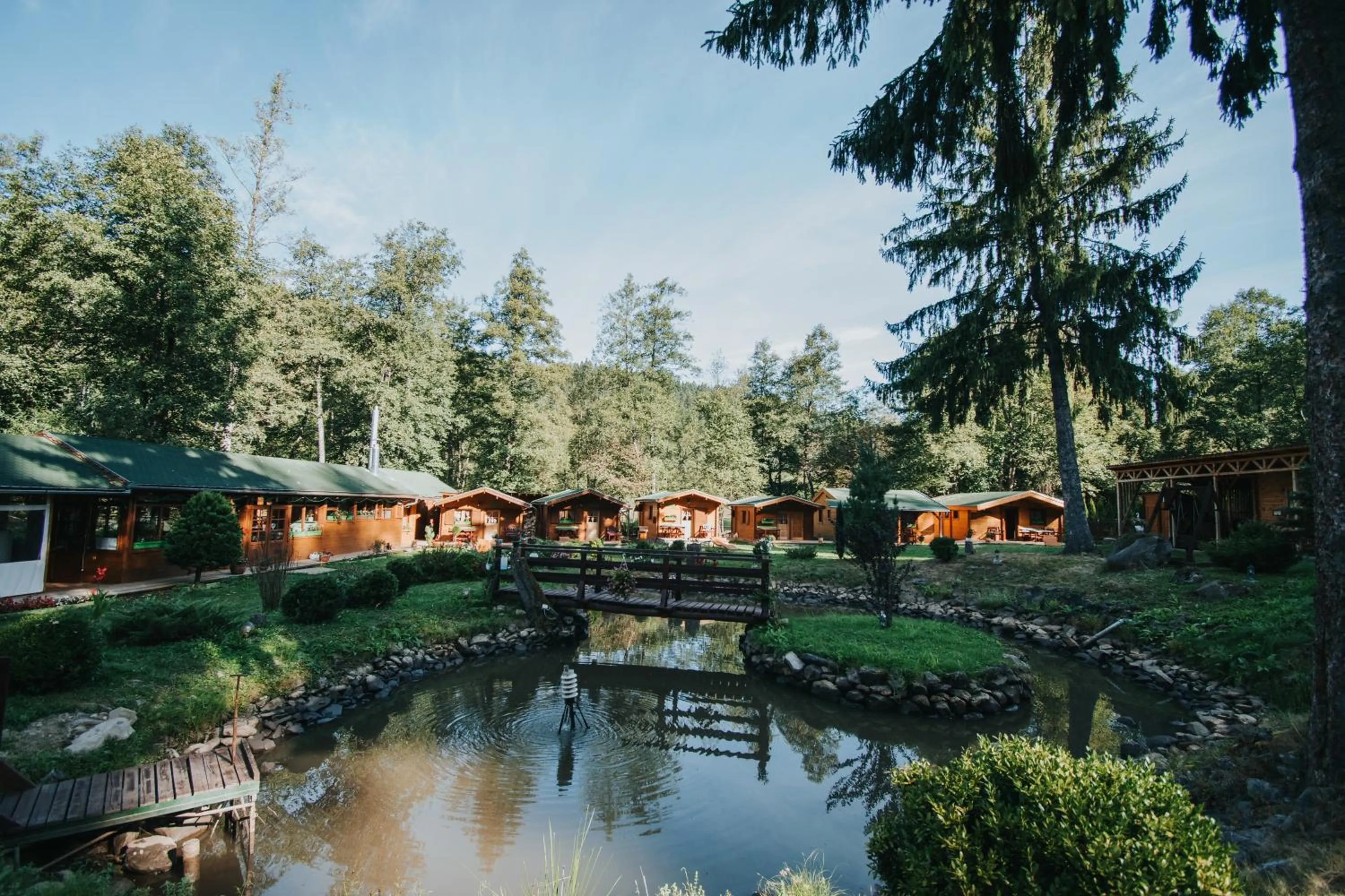 Property building in Vidra Park