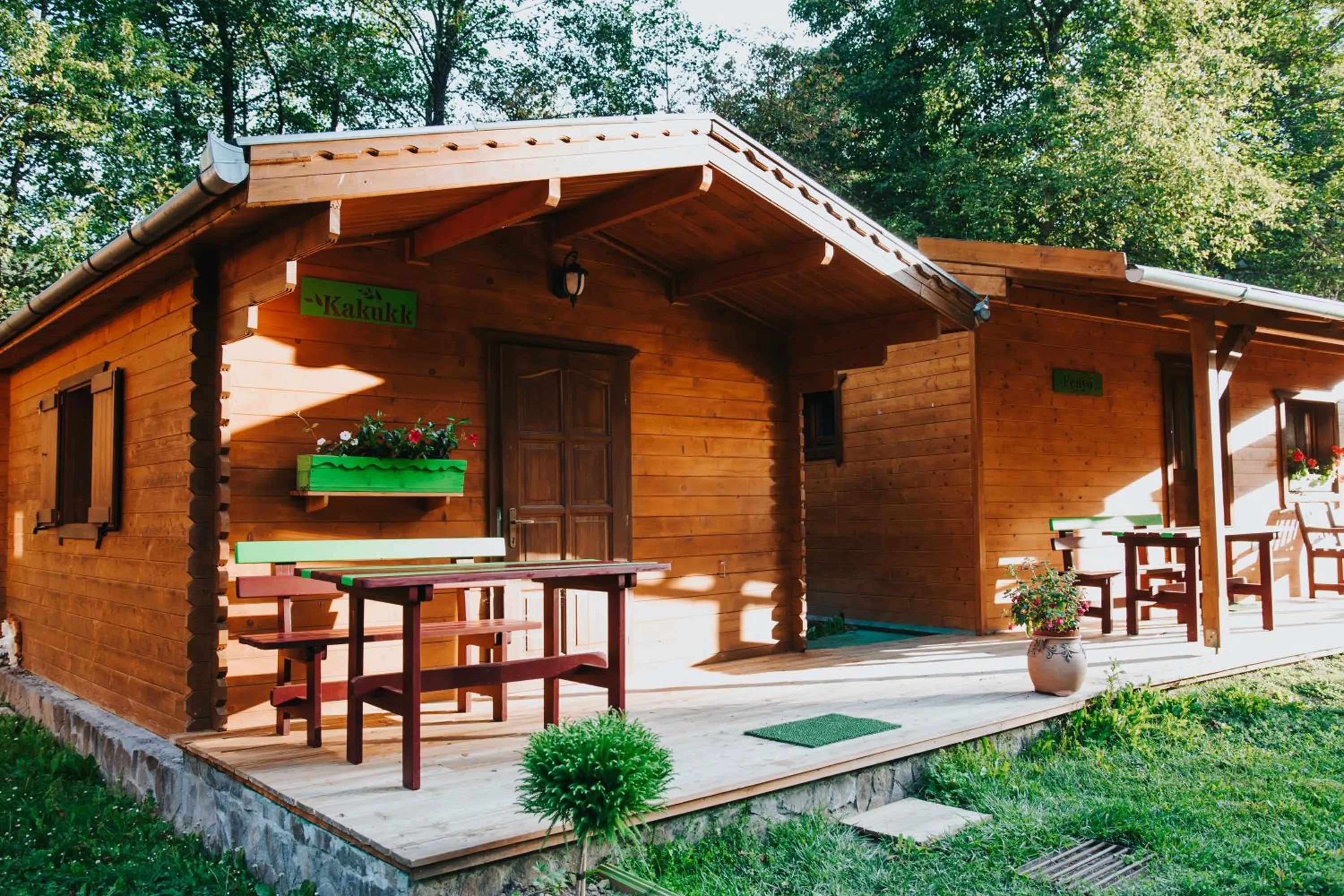 Property building in Vidra Park