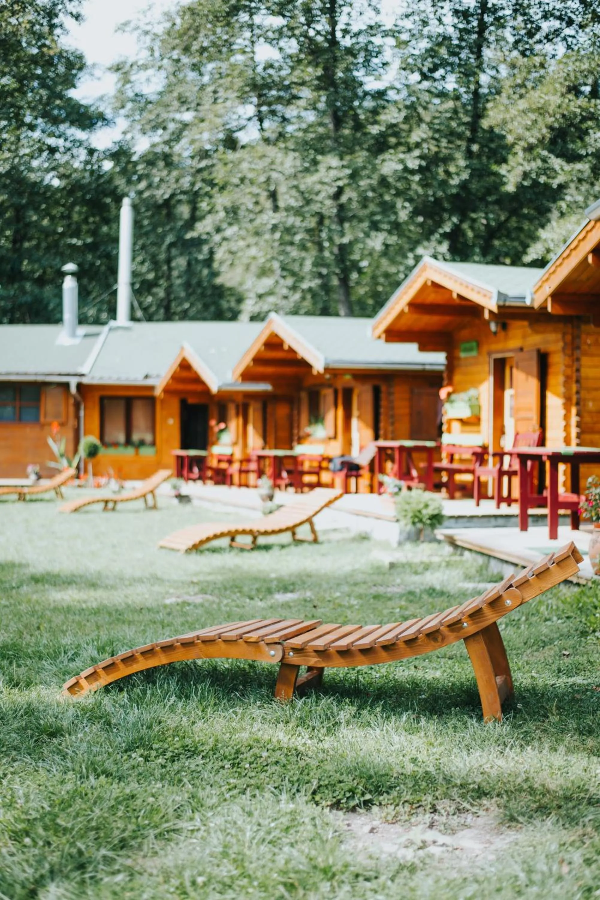 Property building in Vidra Park