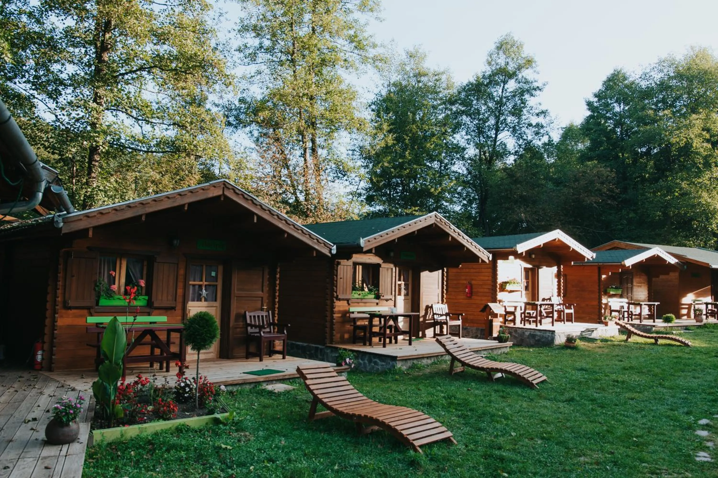 Property building in Vidra Park