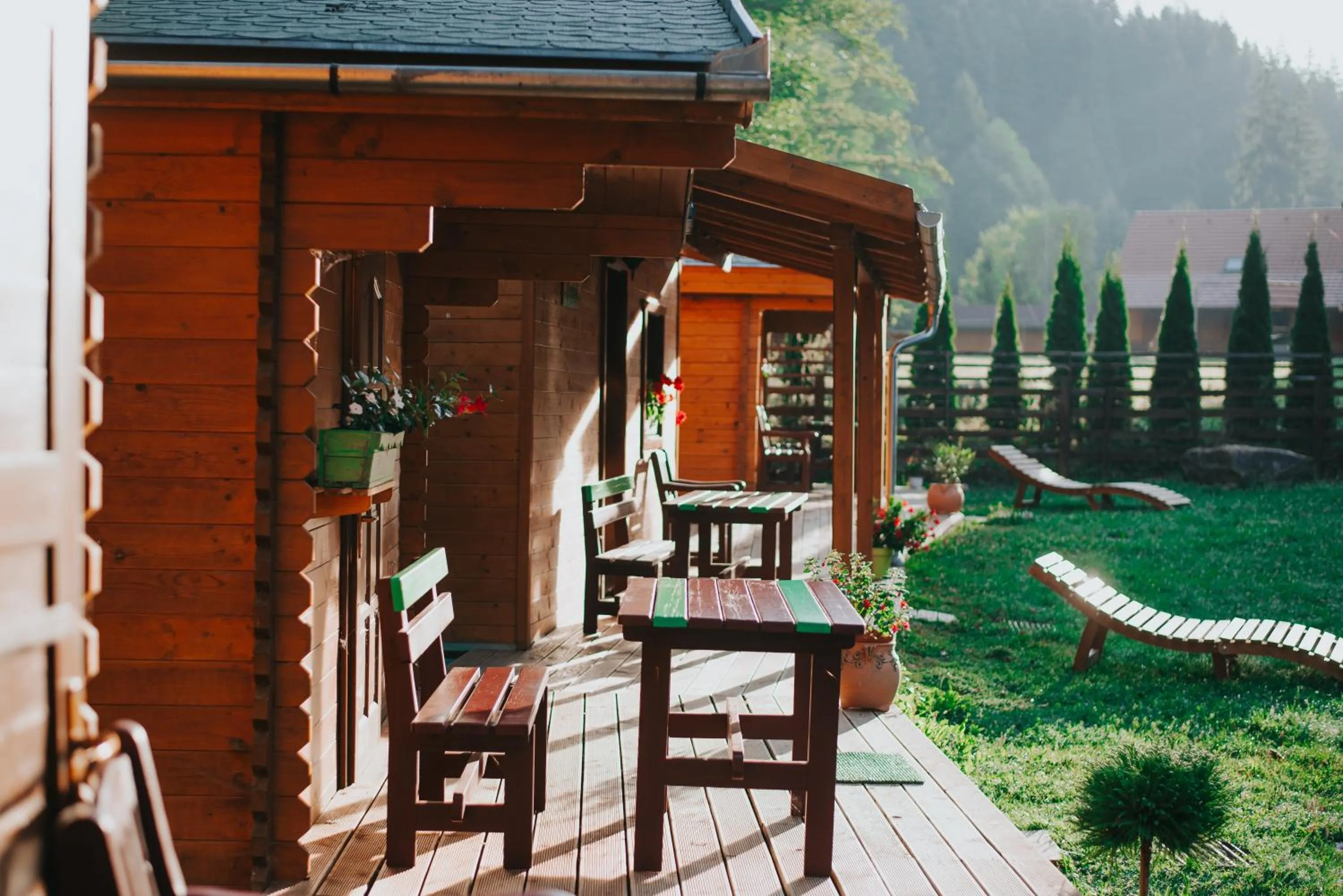 Property building in Vidra Park