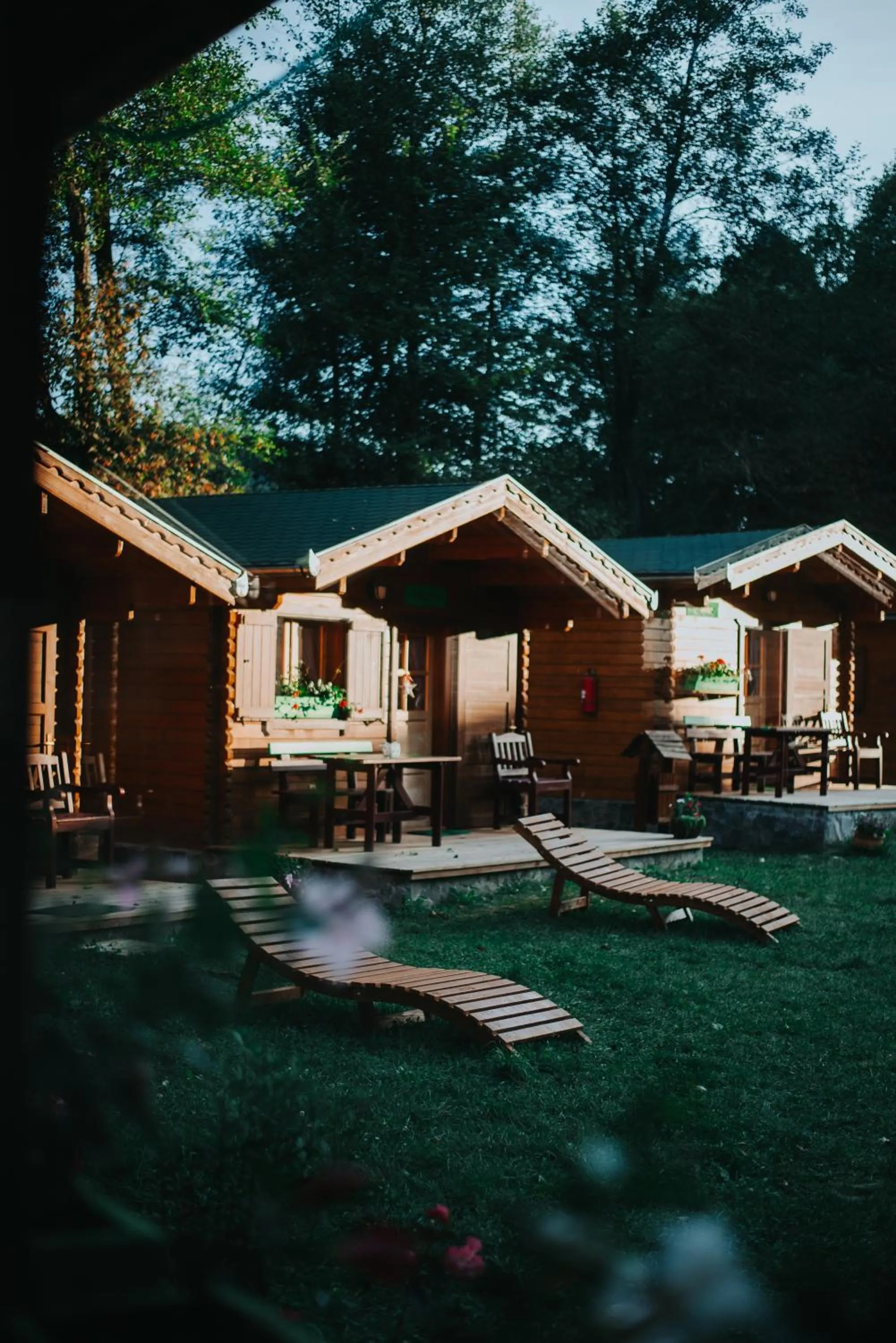 Property building in Vidra Park