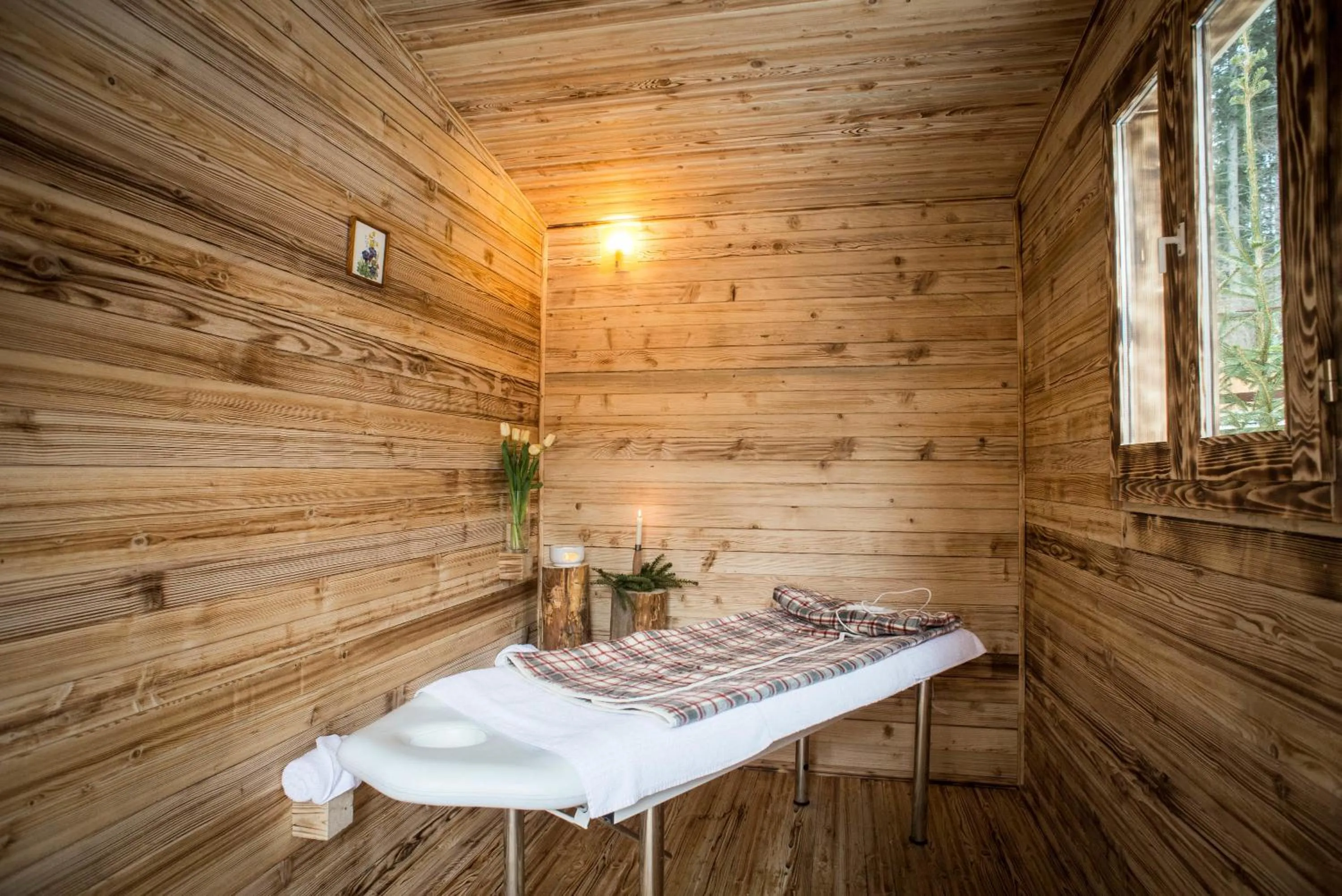 Massage in Vidra Park