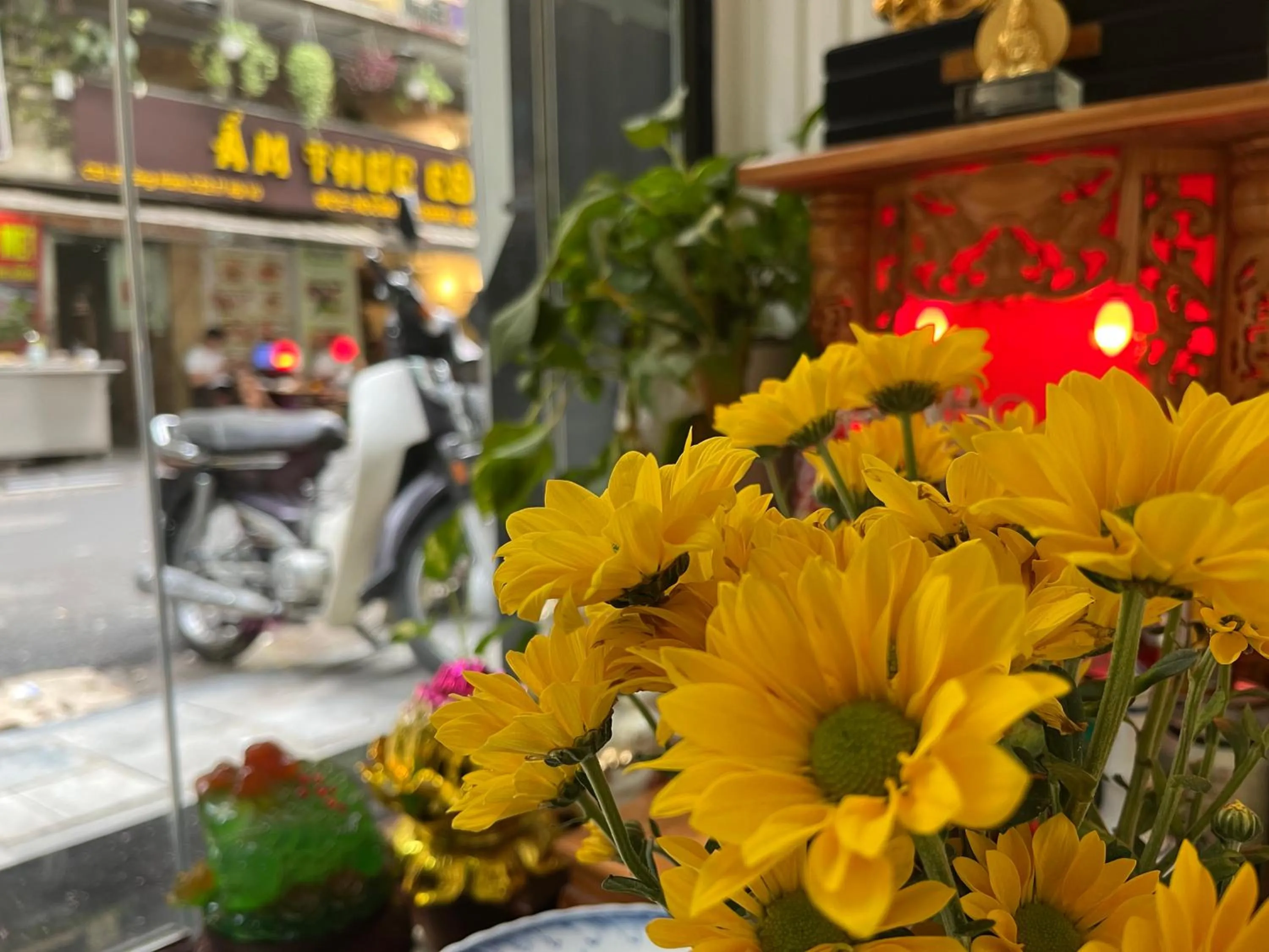 Restaurant/places to eat in CAT BA ROSALIA HOTEL