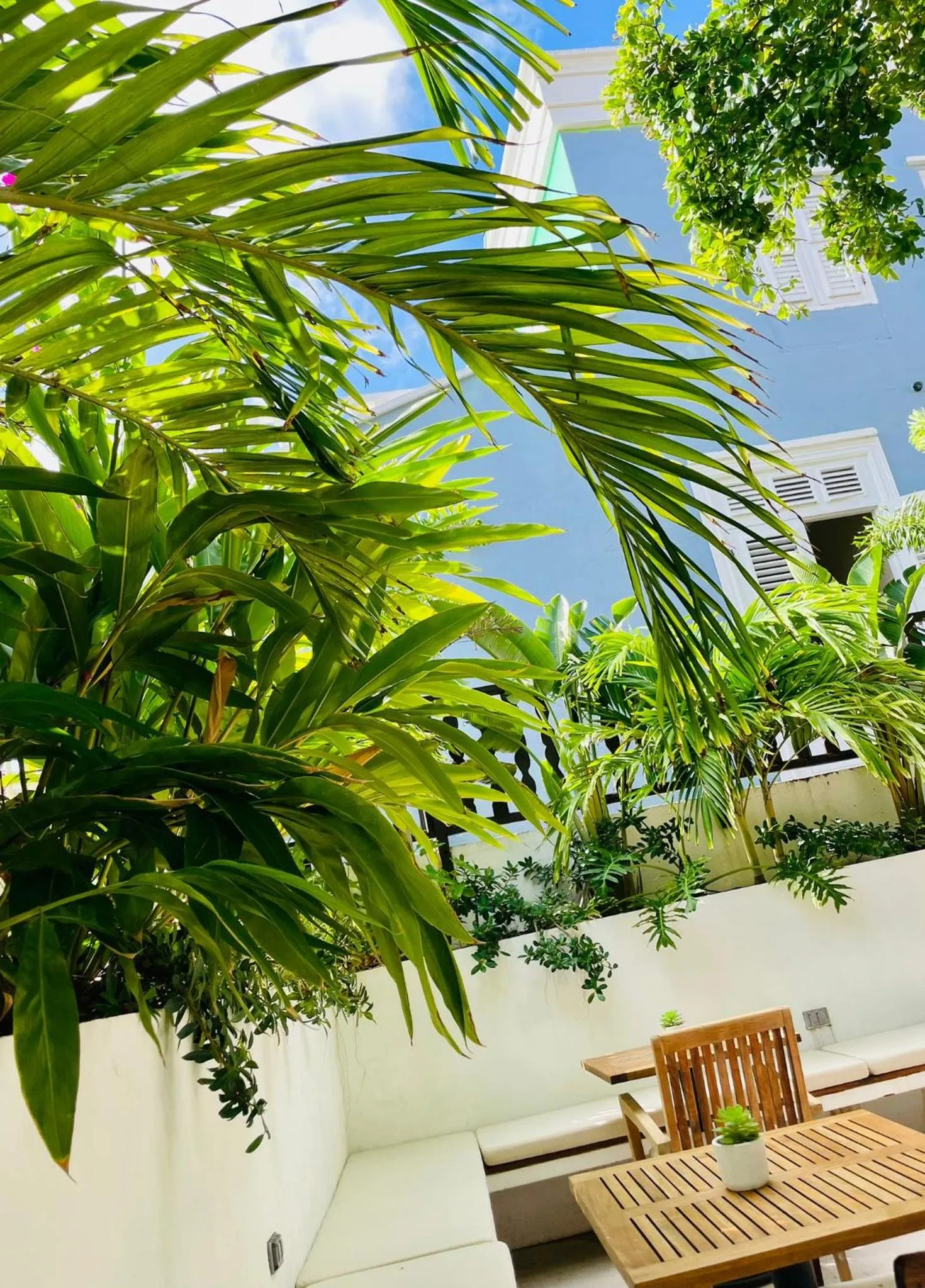 Garden in Atelier Skalo Boutique Hotel