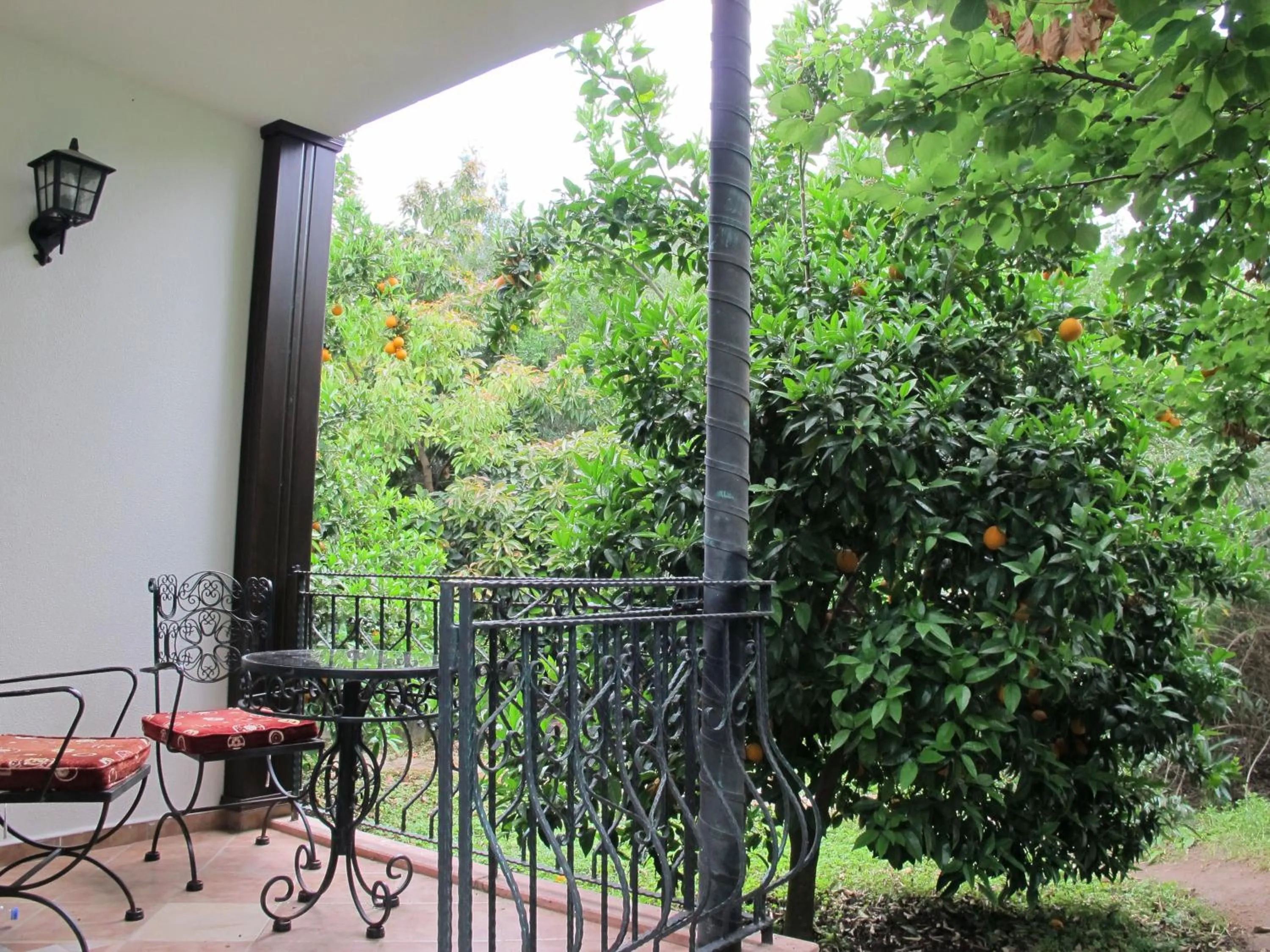 Balcony/Terrace in Hemerans Anatolia