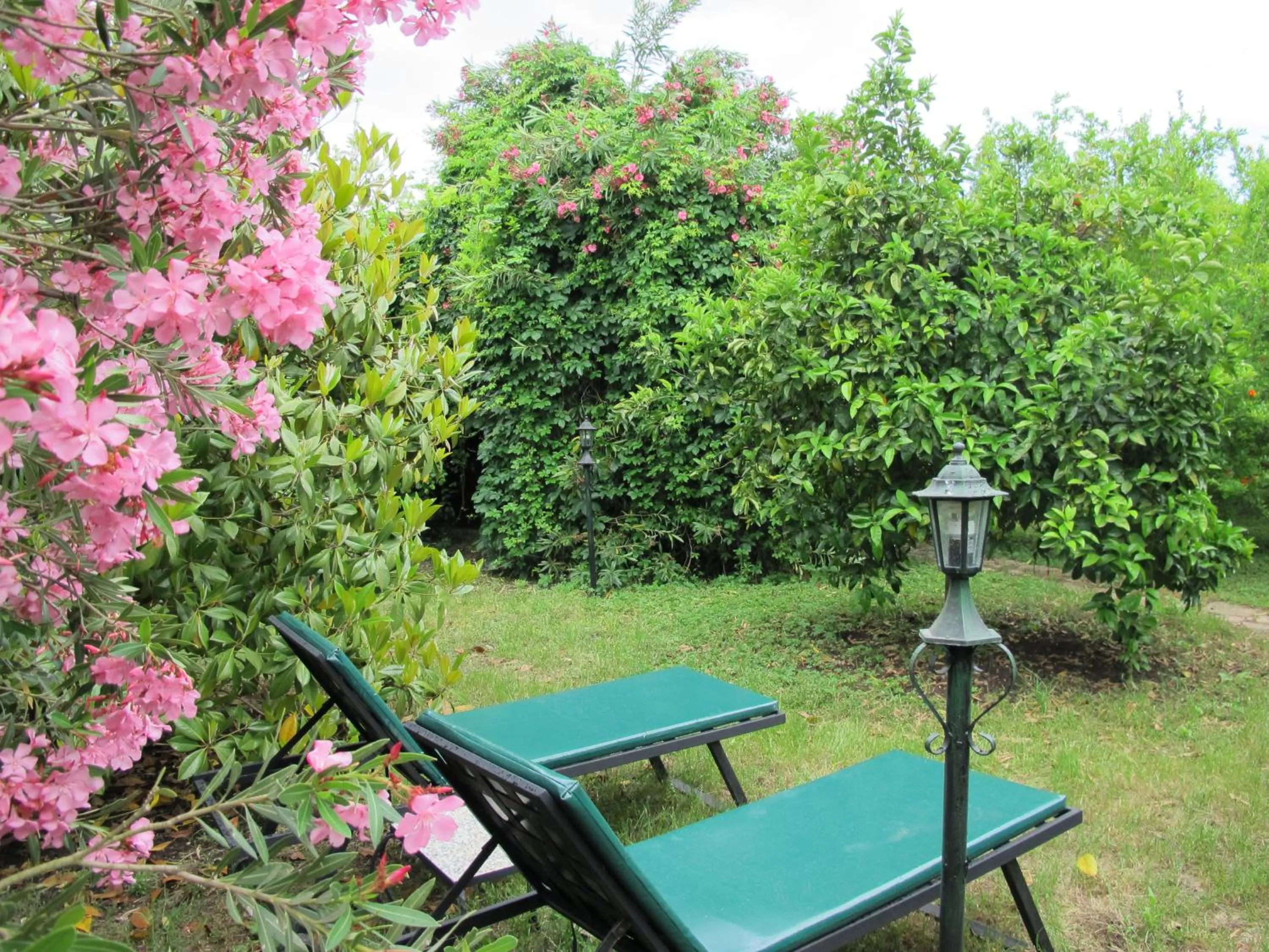 Spring in Hemerans Anatolia