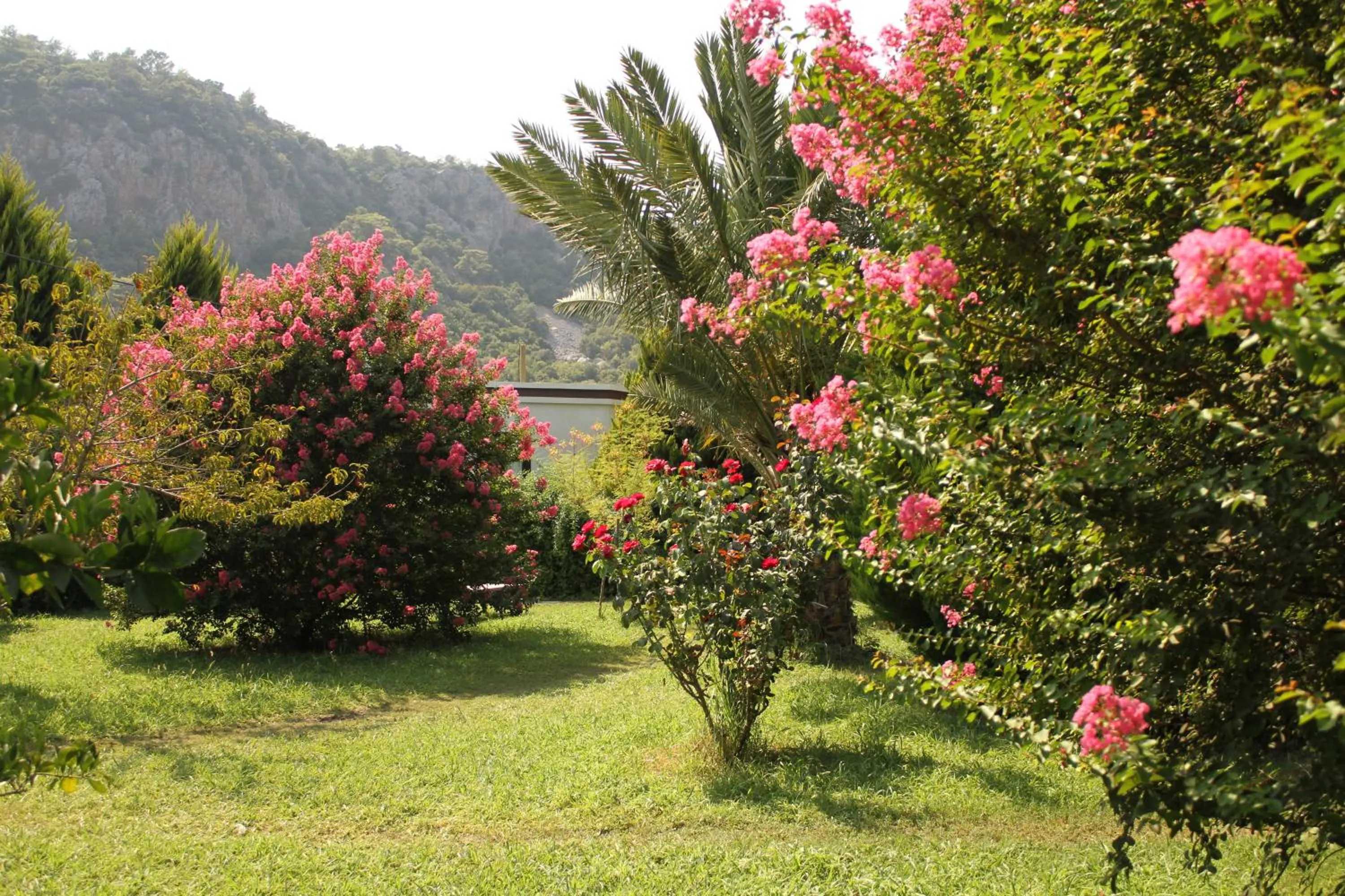 Garden in Hemerans Anatolia